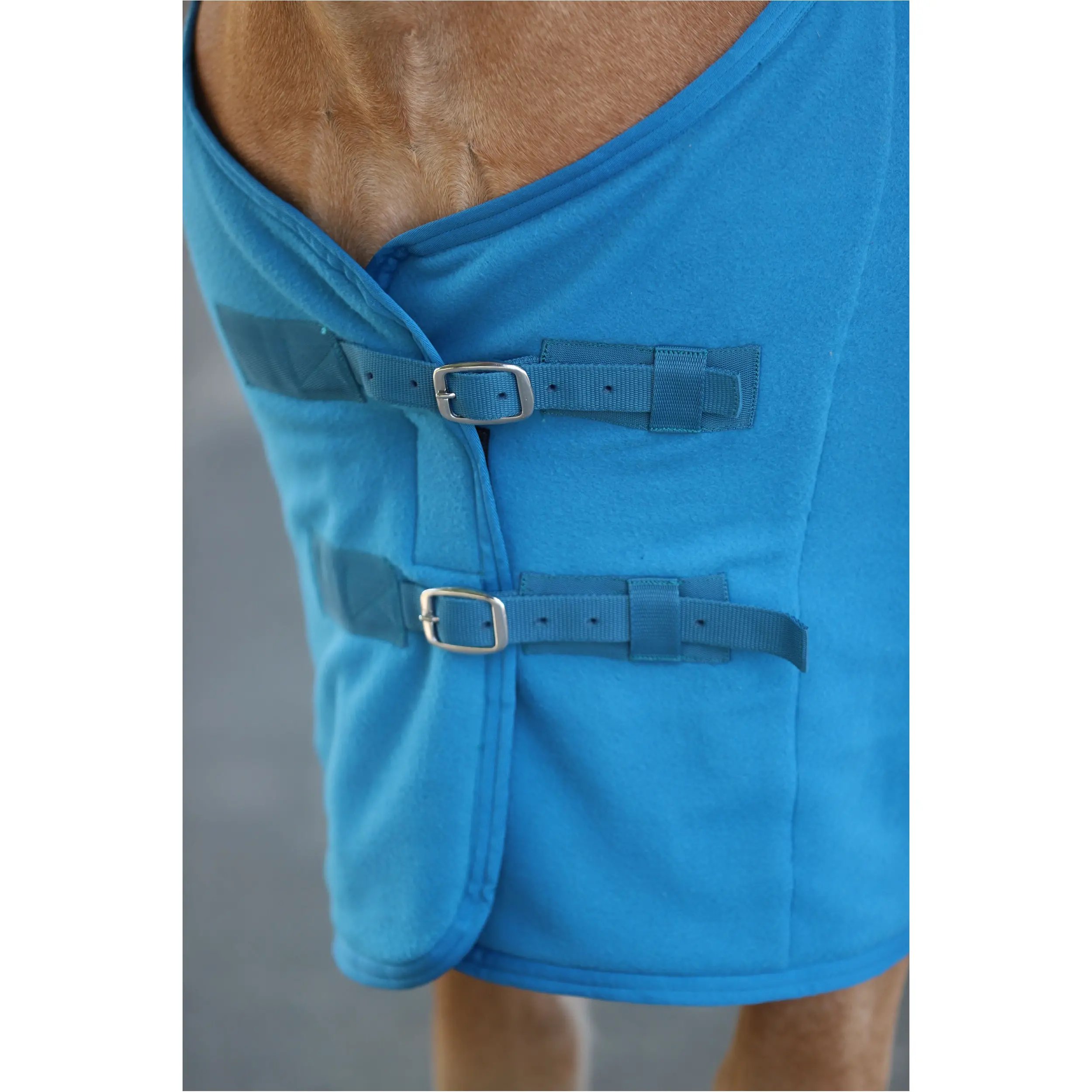 Abschwitzdecke mit Kreuzgurt BASICLINE petrol Abschwitzdecke mit Kreuzgurt BASICLINE petrol