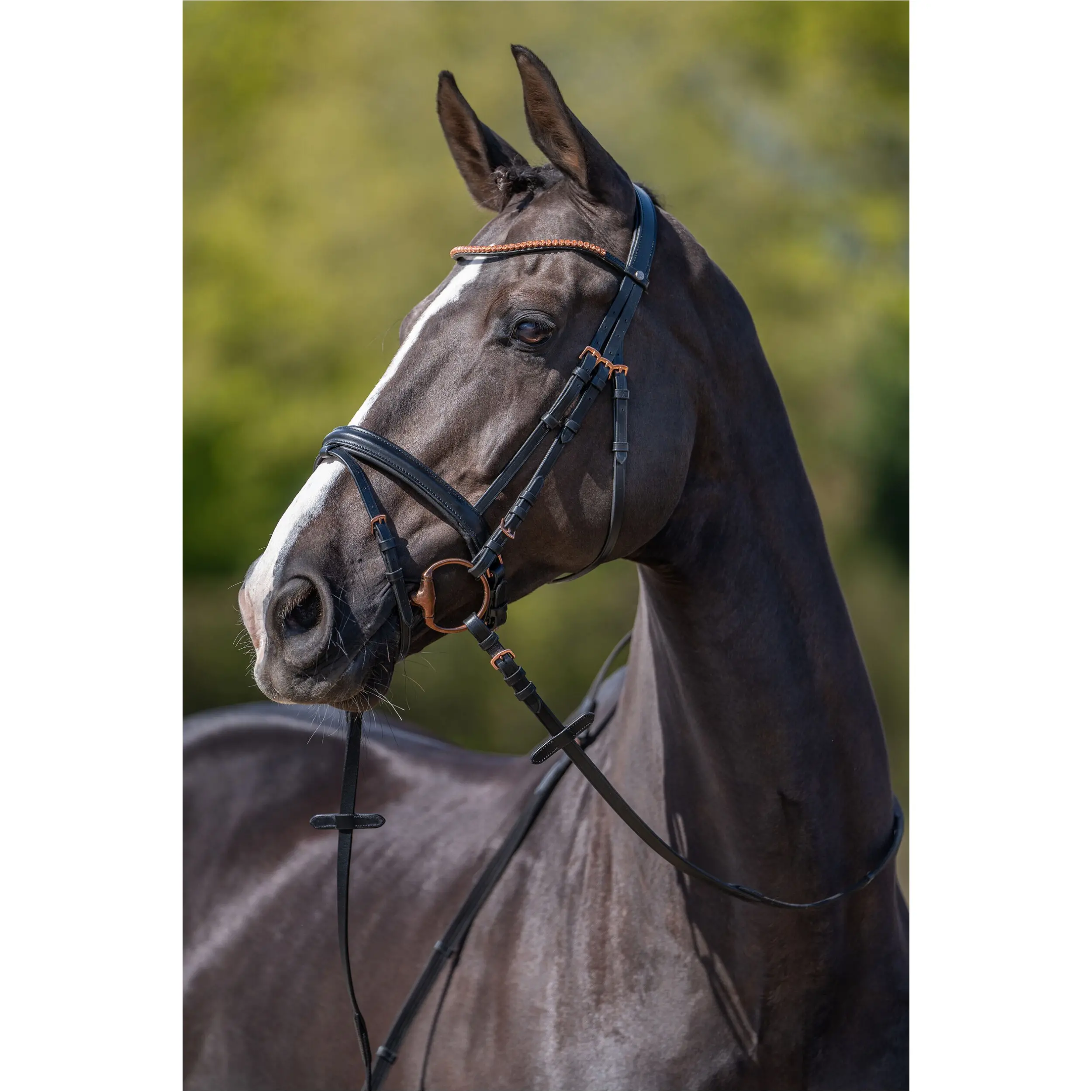 Trensenzaum ROSEGOLD GLAMOUR STYLE schwarz/rosegold