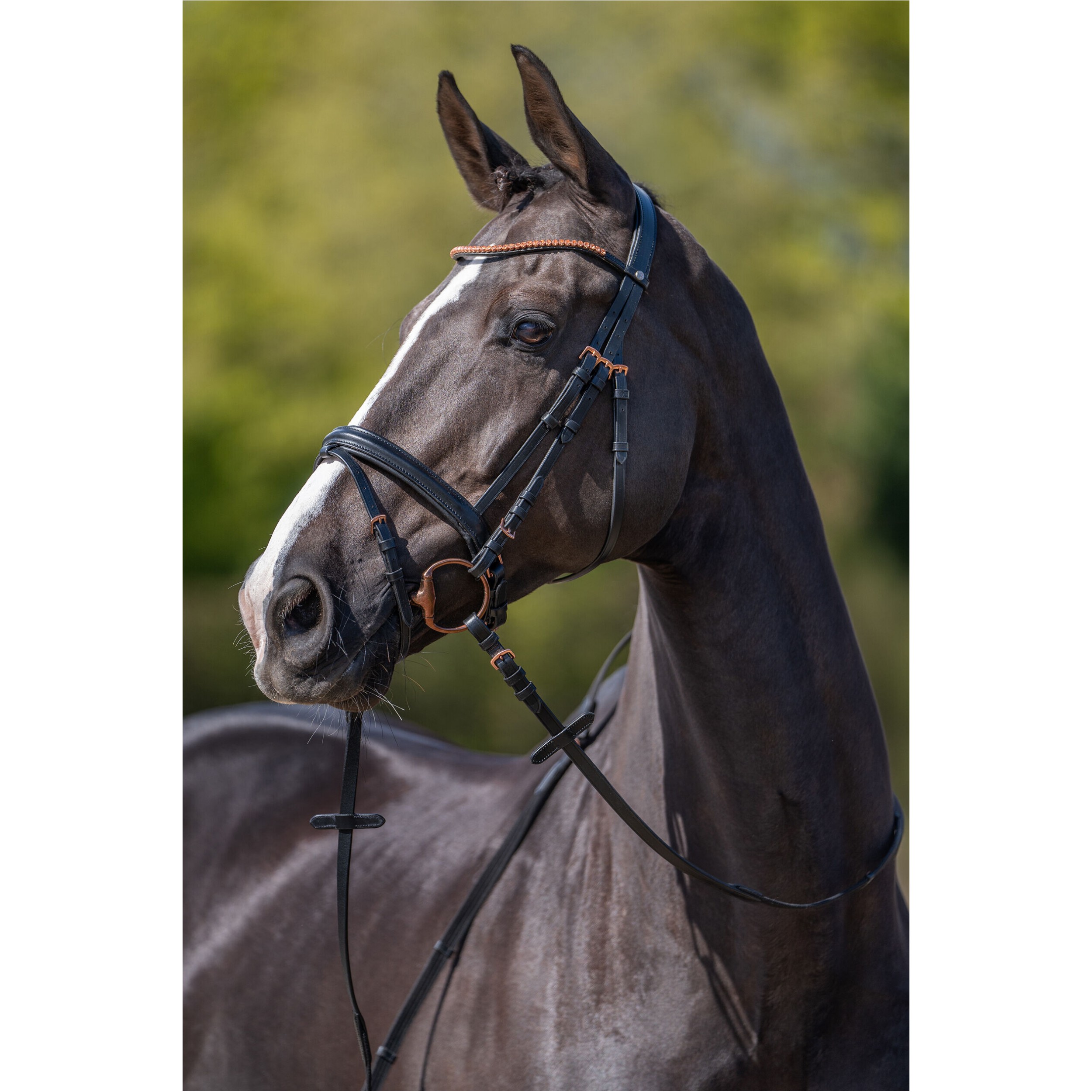 Trensenzaum ROSEGOLD GLAMOUR STYLE schwarz/rosegold