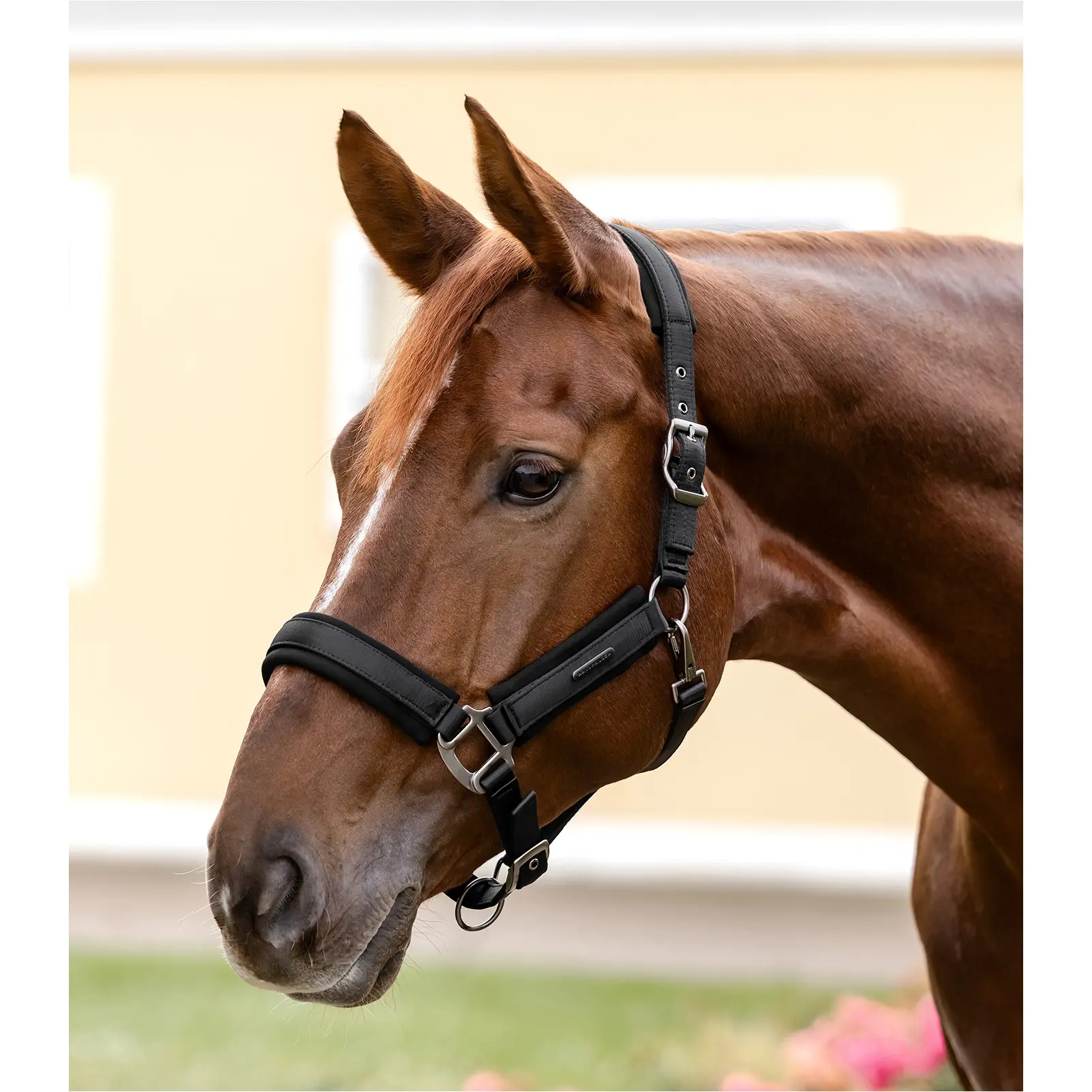 Halfter SOFT TOUCH schwarz