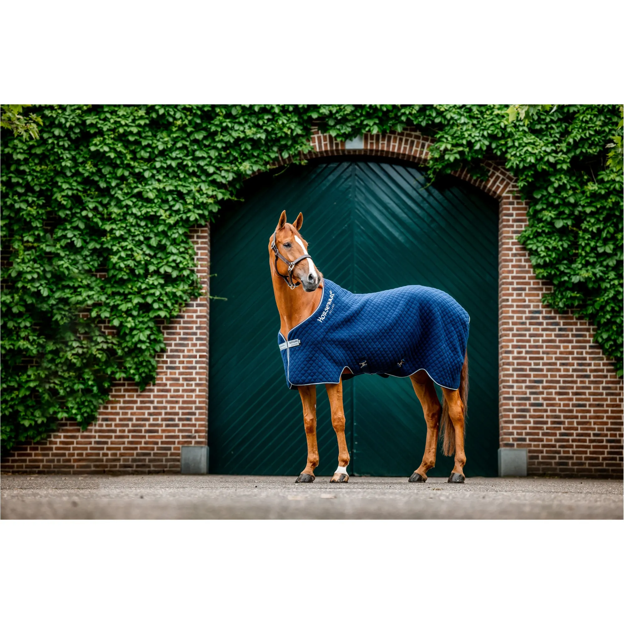 Abschwitzdecke 100g Füllung AUTUMN COOLER navy/silver