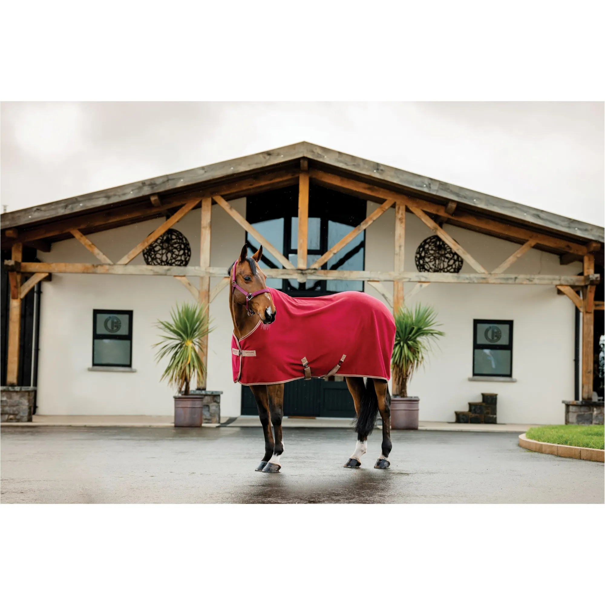 Abschwitzdecke AMIGO Fleece Cooler mulberry/taupe
