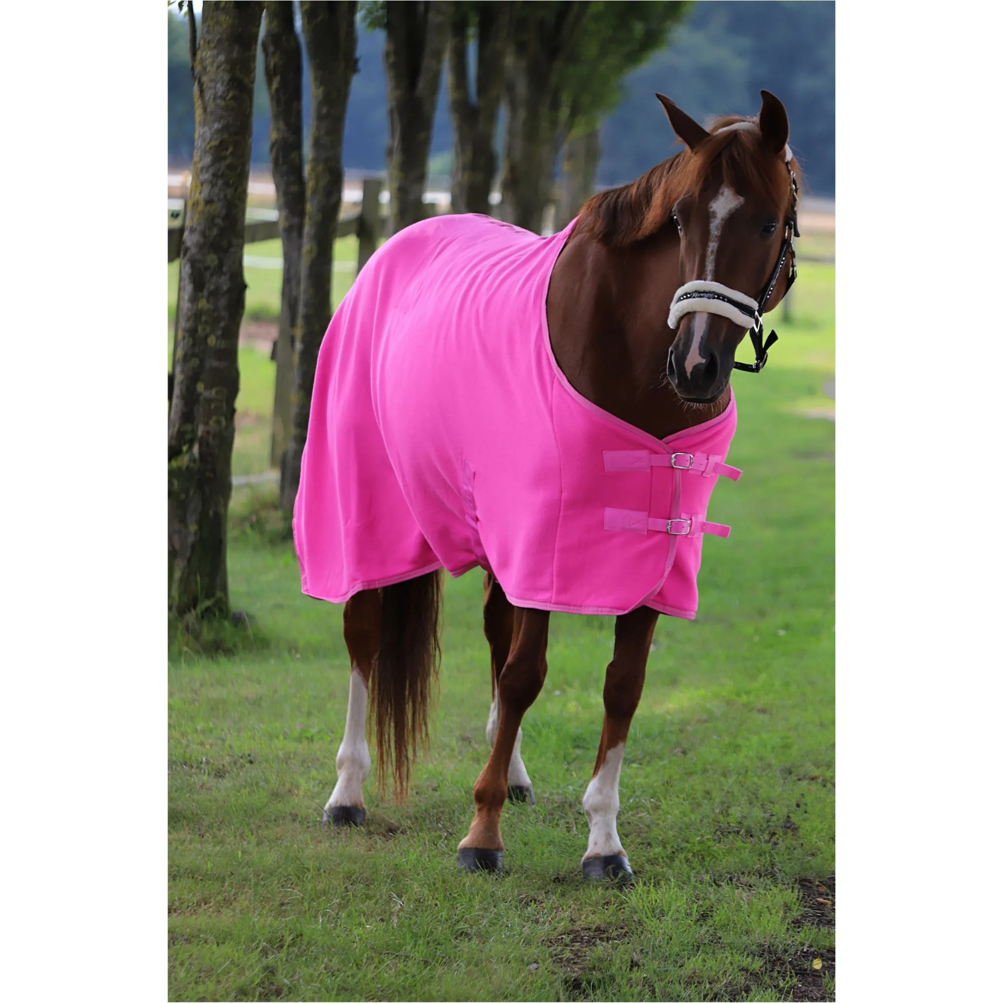 Abschwitzdecke mit Kreuzgurt BASICLINE neon pink