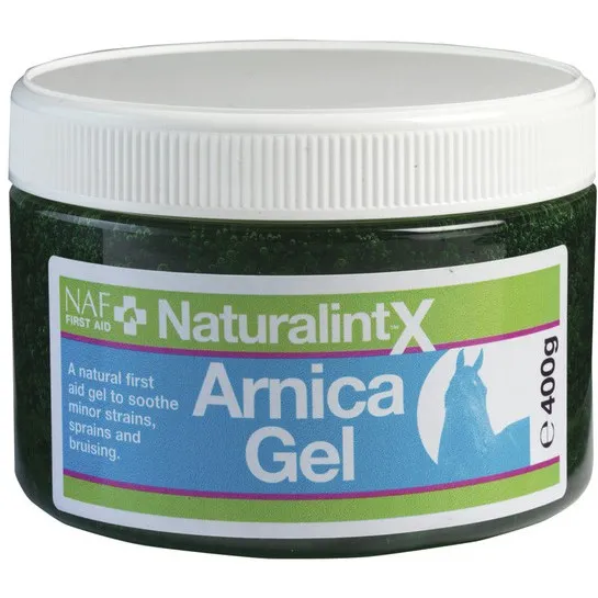 Arnica Gel zur Linderung nach Schlag oder Muskelbelastung NaturalintX