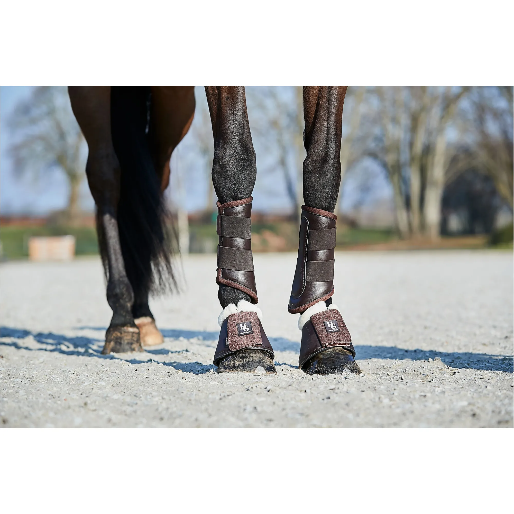 Dressurgamaschen LUX braun