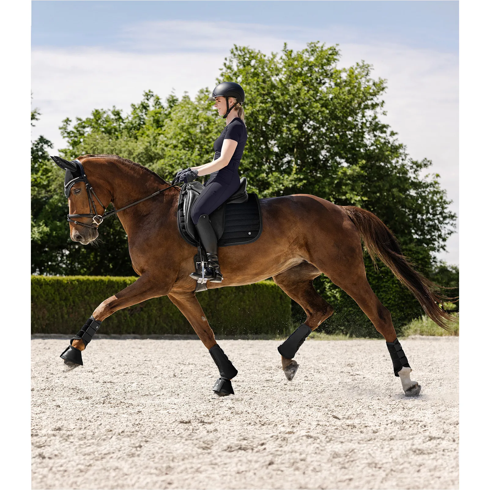 Dressurgamaschen RIMINI schwarz