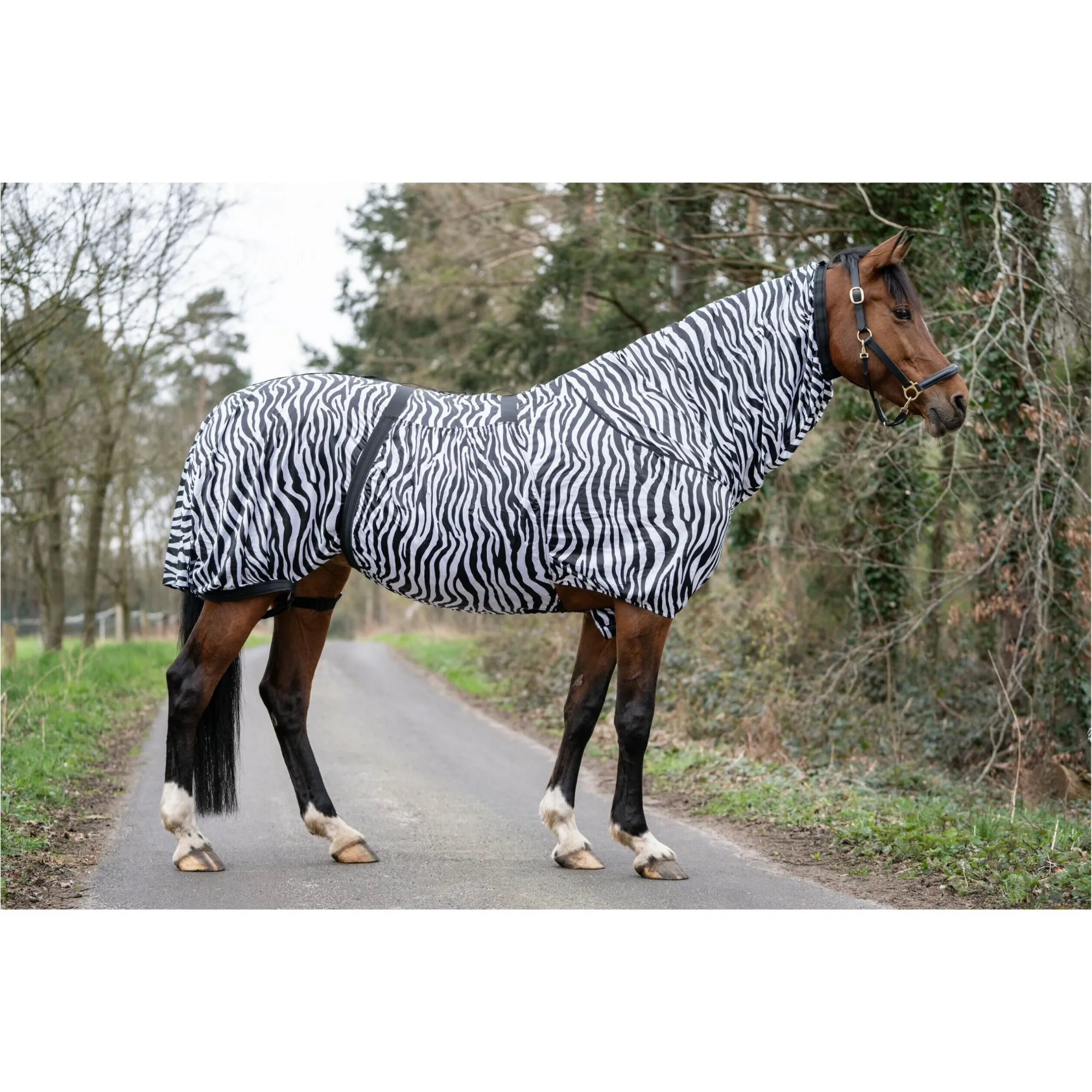 Ekzemerdecke ZEBRA weiß/schwarz