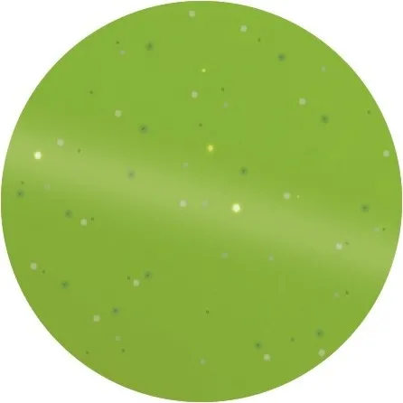 Federstriegel 4-fach wendbar mit Glittergriff grün