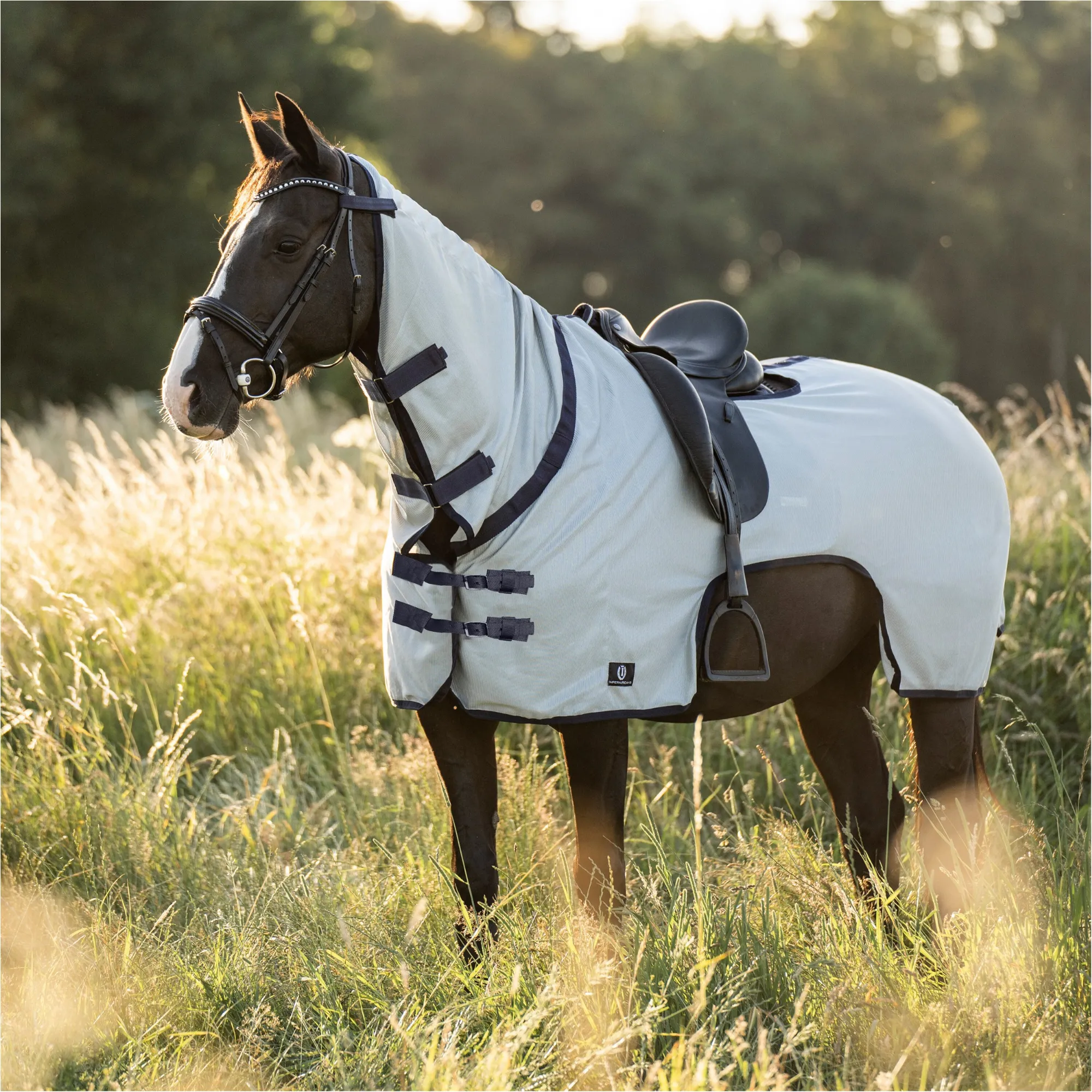 Fliegenausreitdecke IRHRoyce silvergrau