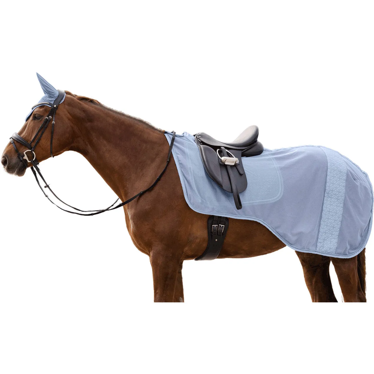 Fliegenausreitdecke ROM pastellblau