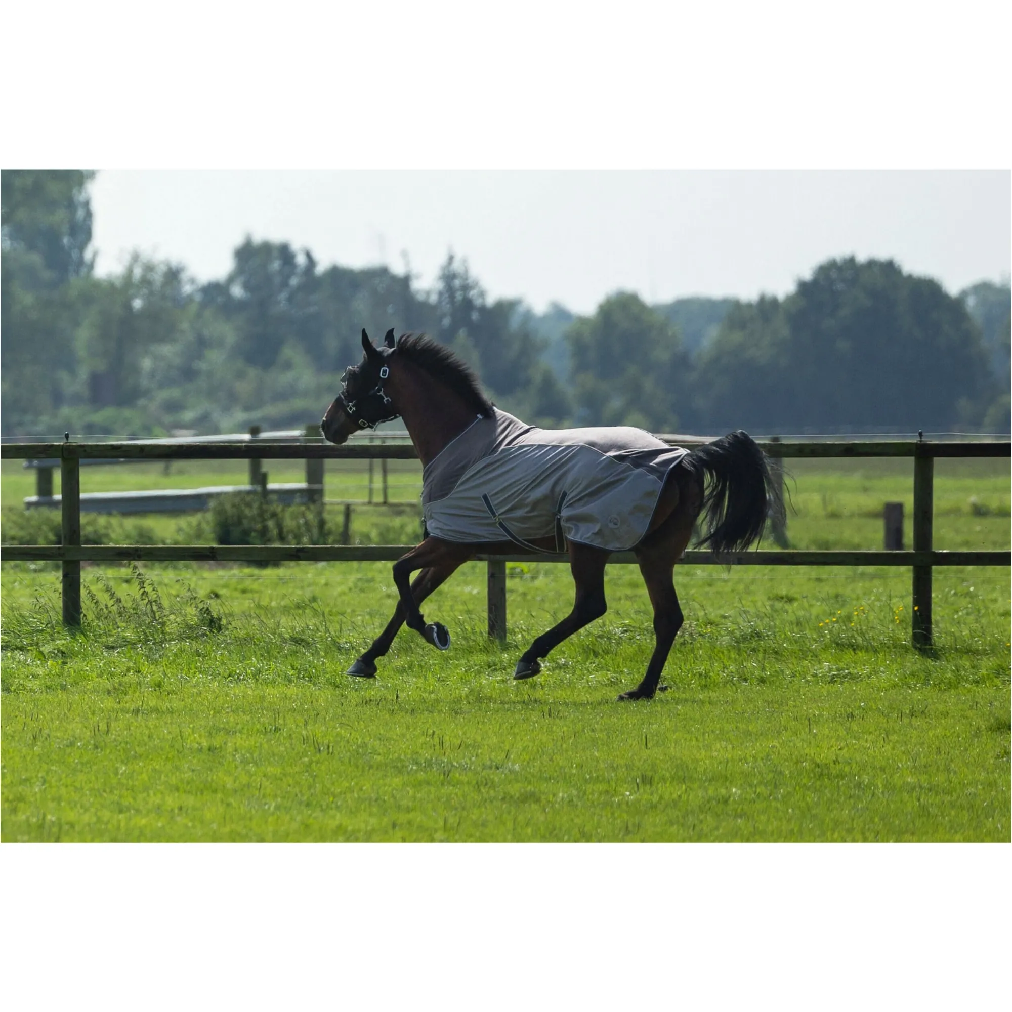 Fliegendecke mit Fleece COMFORT grau/natur/blau