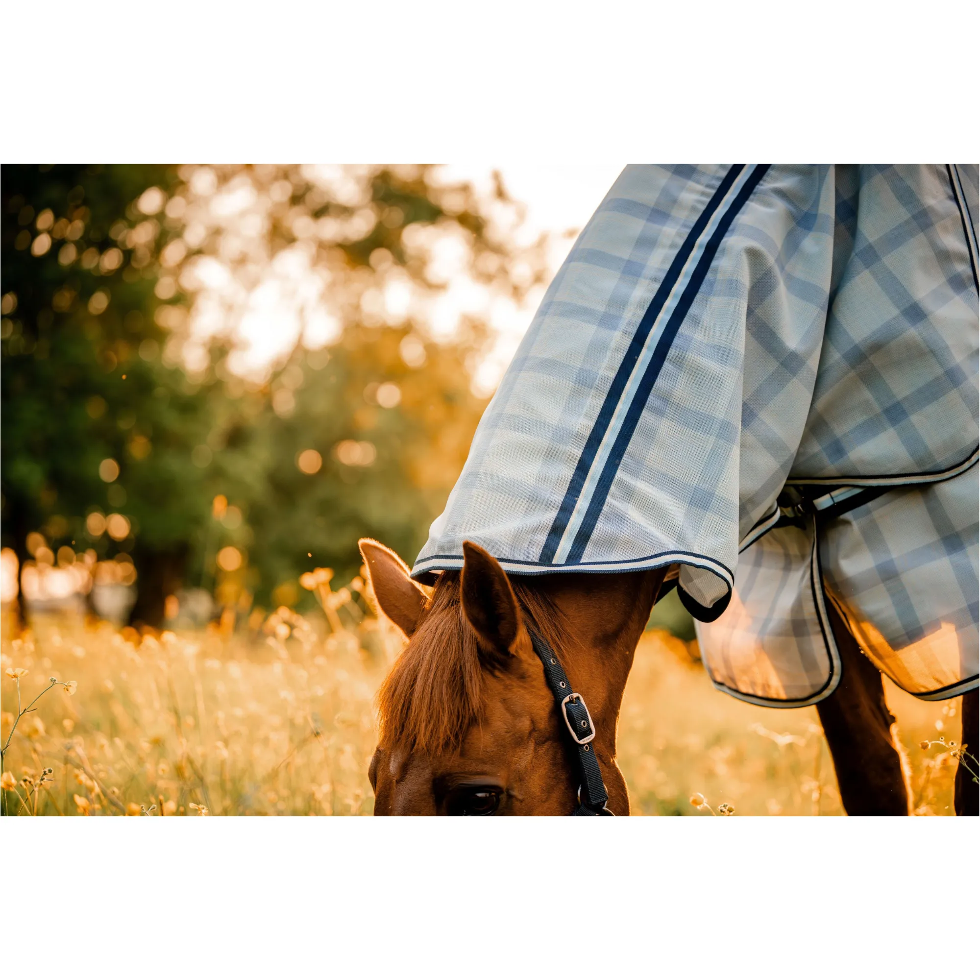 Fliegendecke mit Halsteil (abnehmbar) NEWMARKET Plus Fly Sheet witney navy