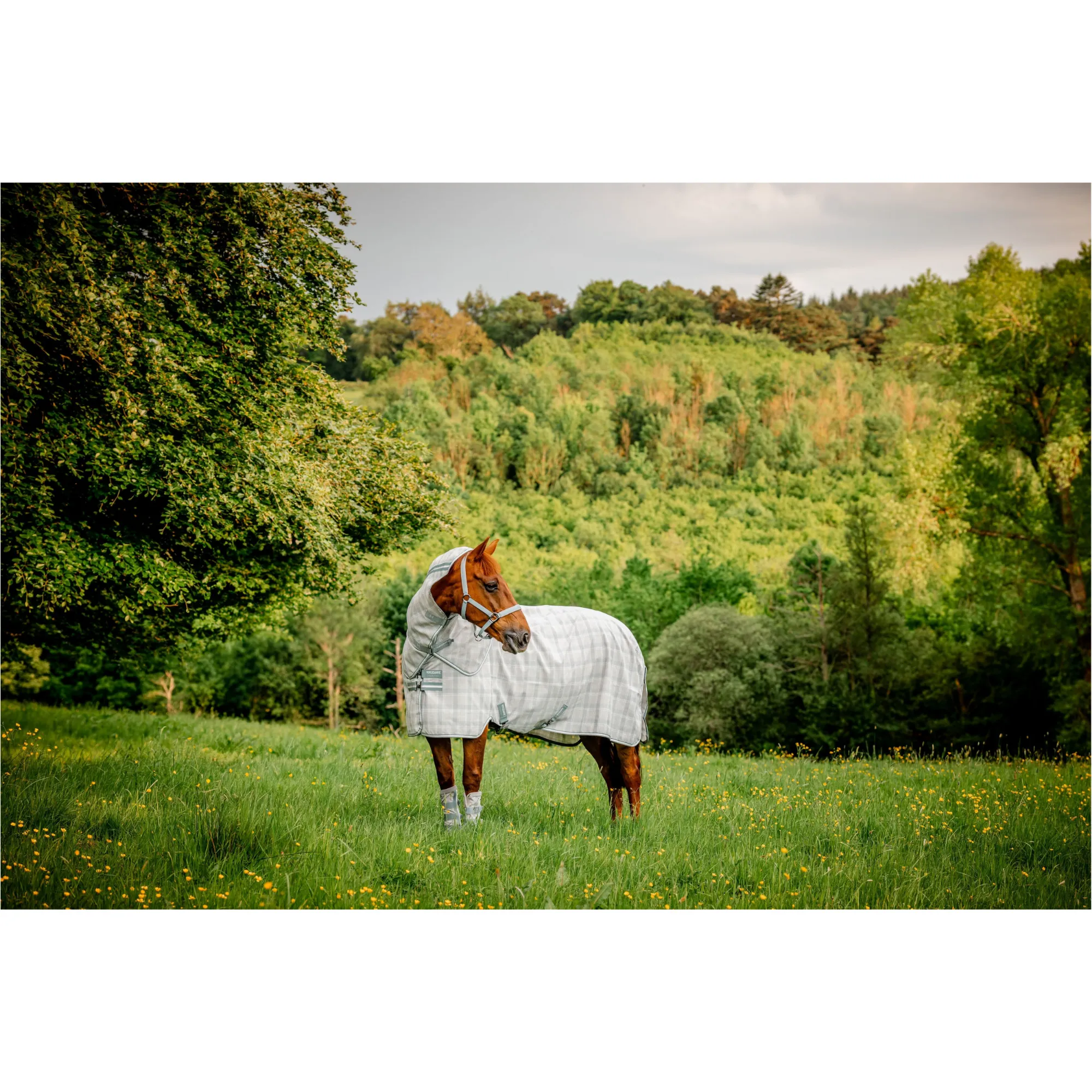 Fliegendecke mit Halsteil (abnehmbar) NEWMARKET Plus Fly Sheet witney charcoal