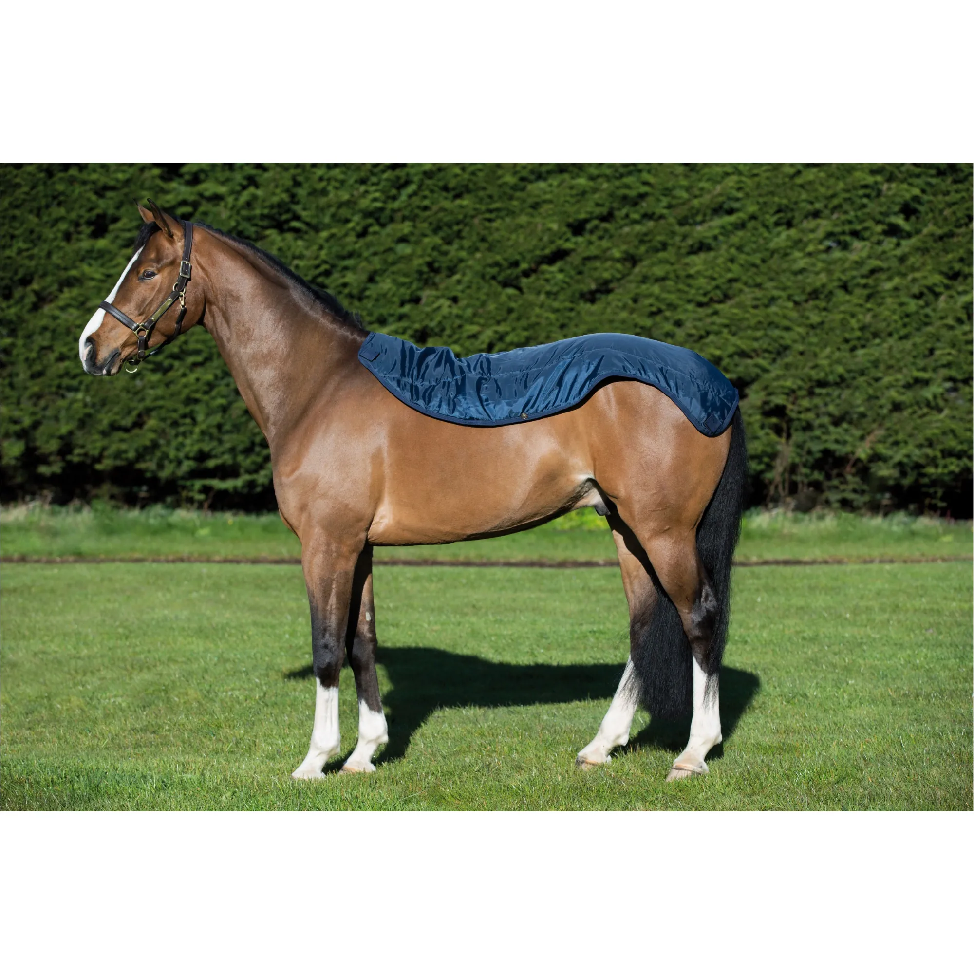 Fliegendecke mit Halsteil (abnehmbar) RAMBO Summer Series V-Front navy/grey