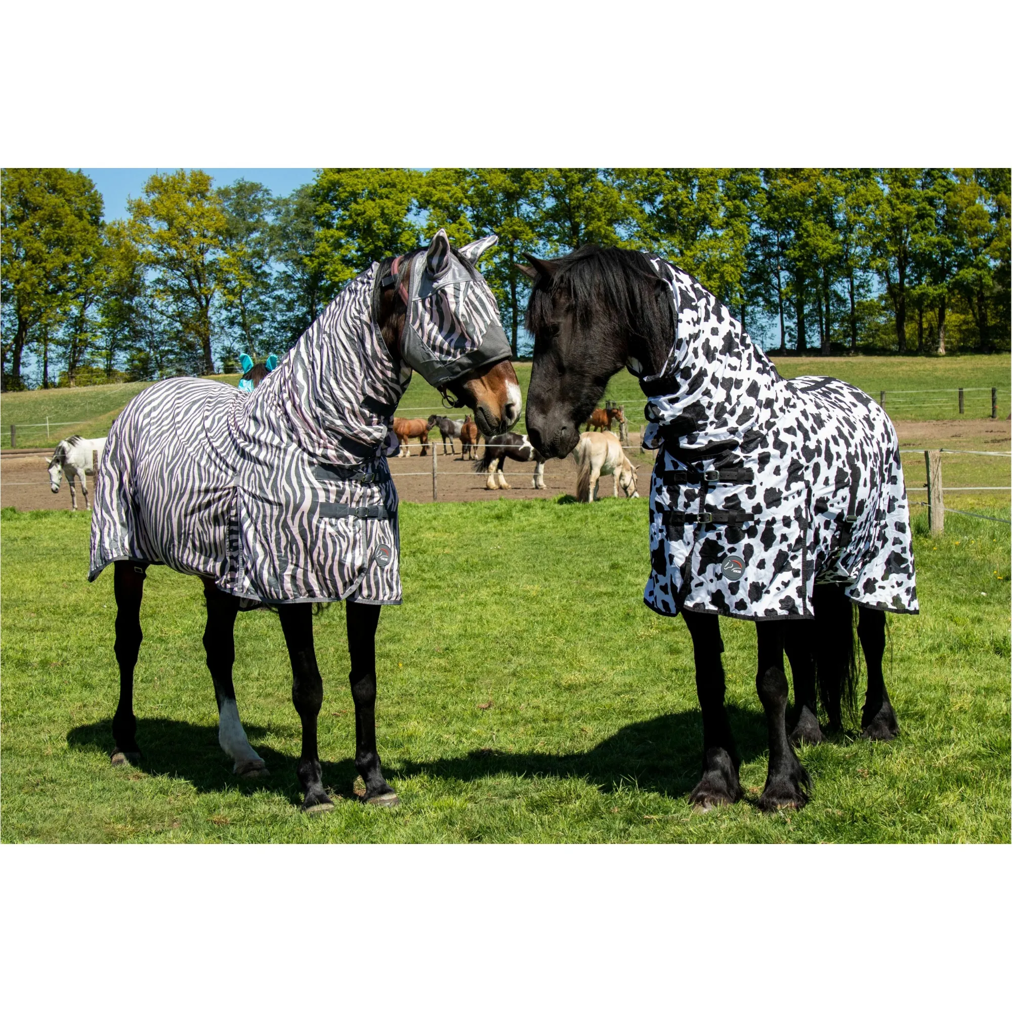 Fliegendecke mit Halsteil COW schwarz/weiß
