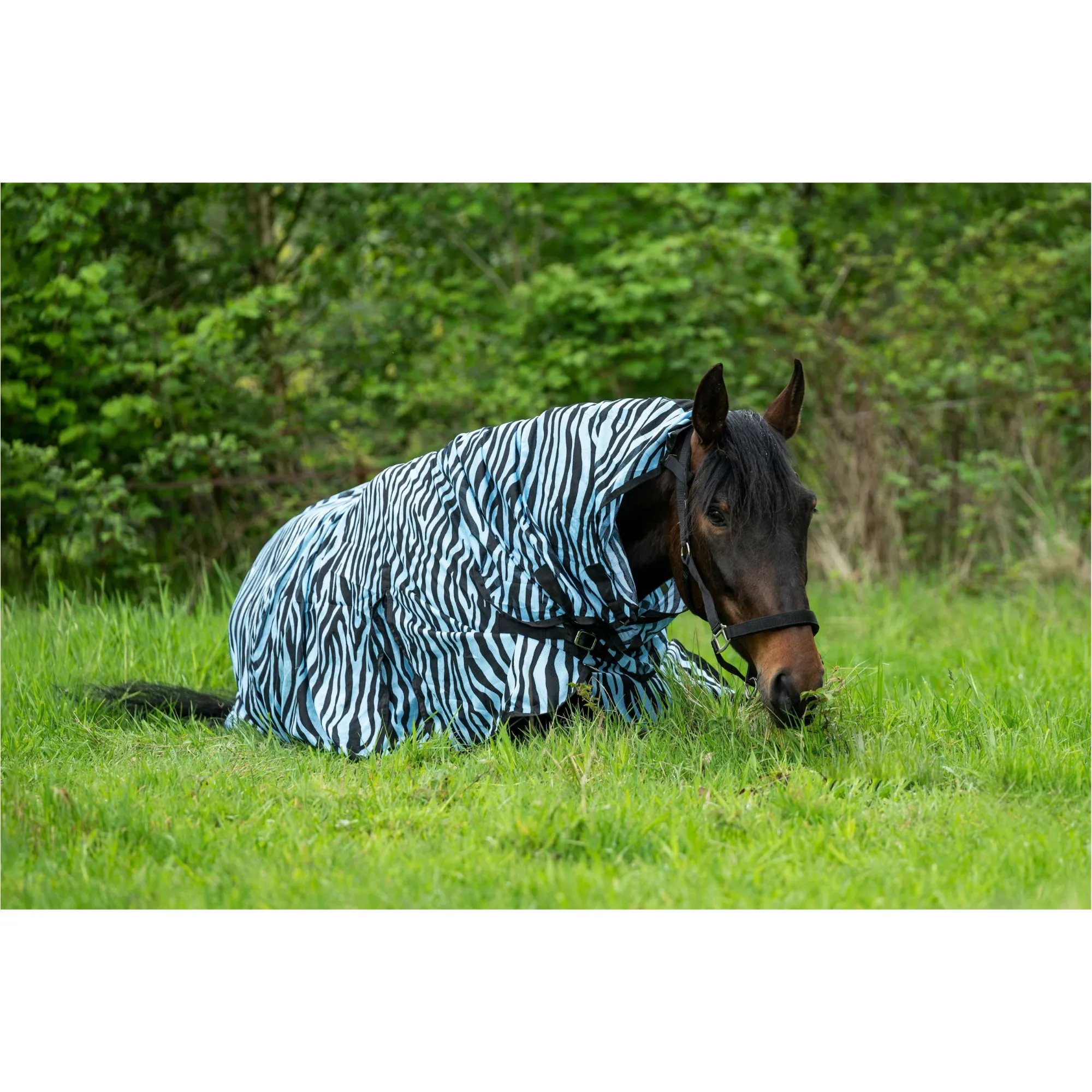 Fliegendecke mit Halsteil ZEBRA AQUA aqua/schwarz