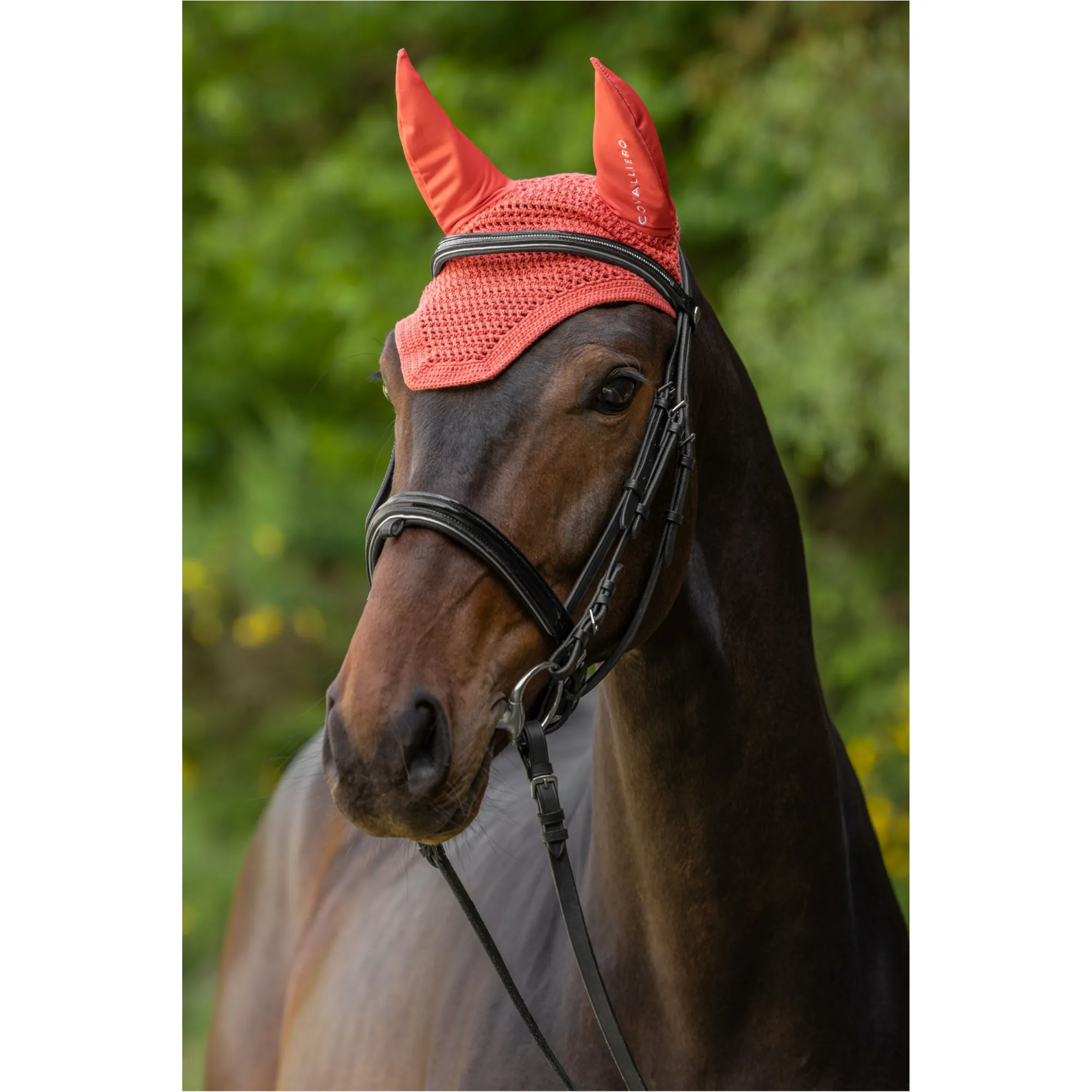 Fliegenhaube F/S 2025 coral
