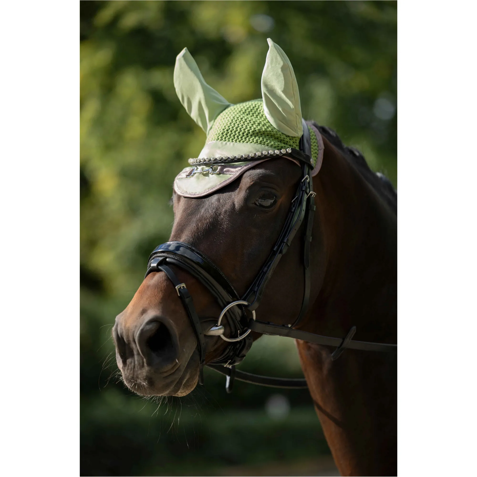 Fliegenhaube GOLDEN BIT jade