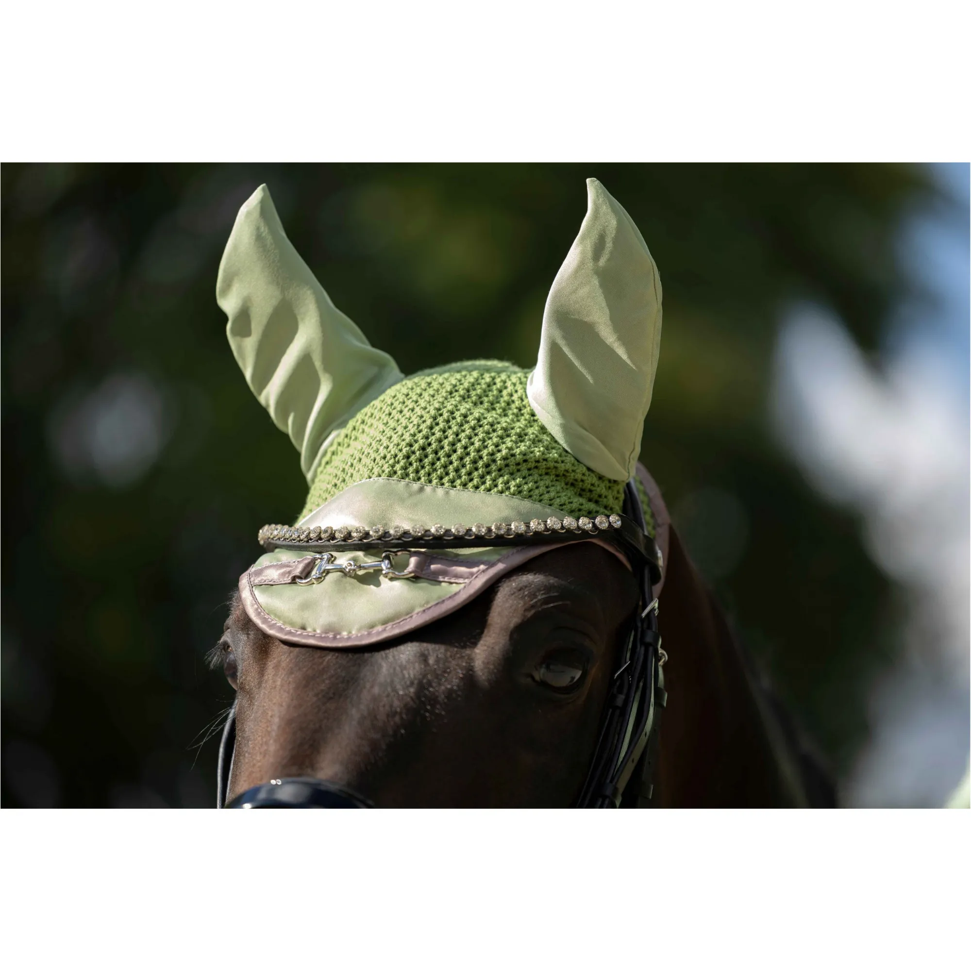 Fliegenhaube GOLDEN BIT jade