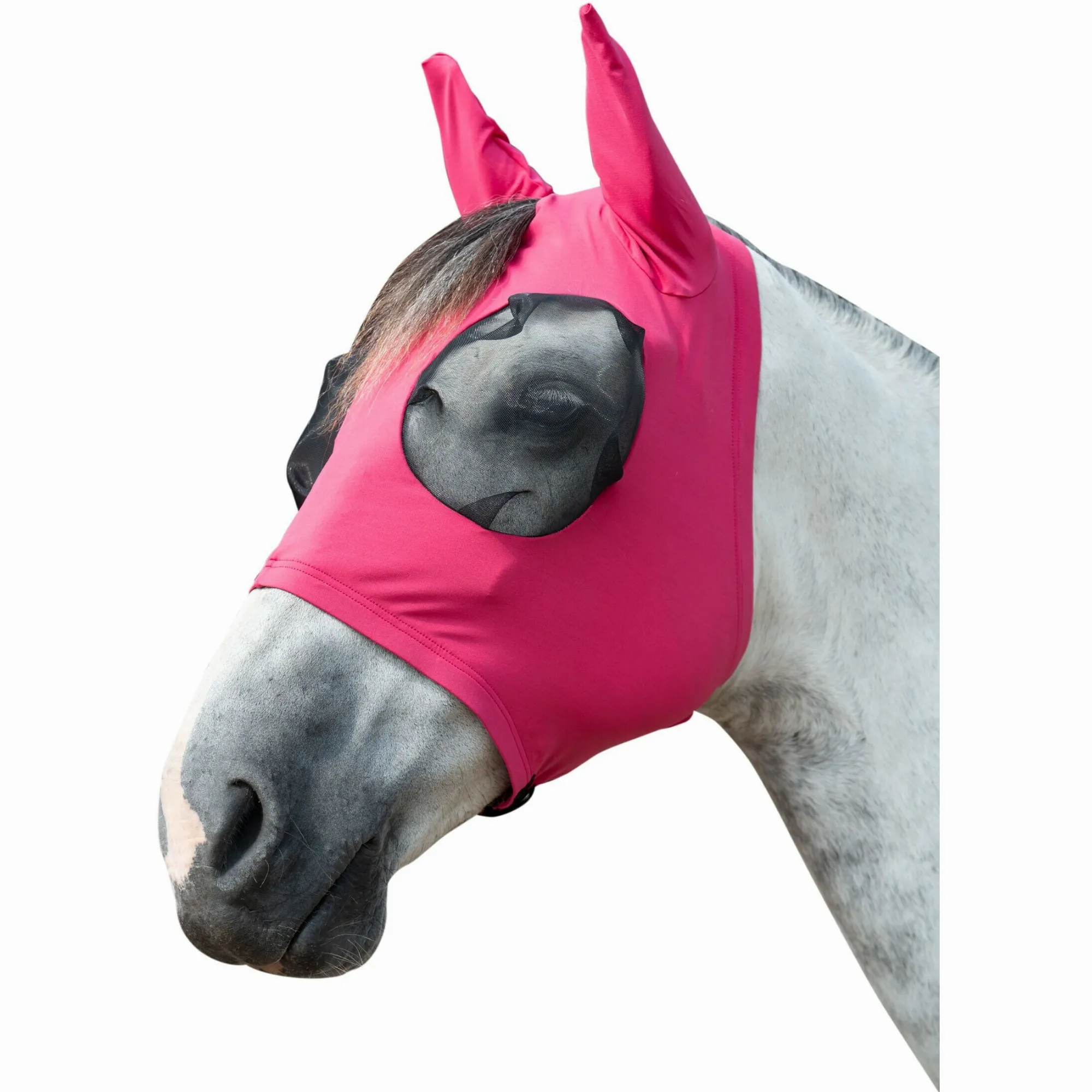 magenta