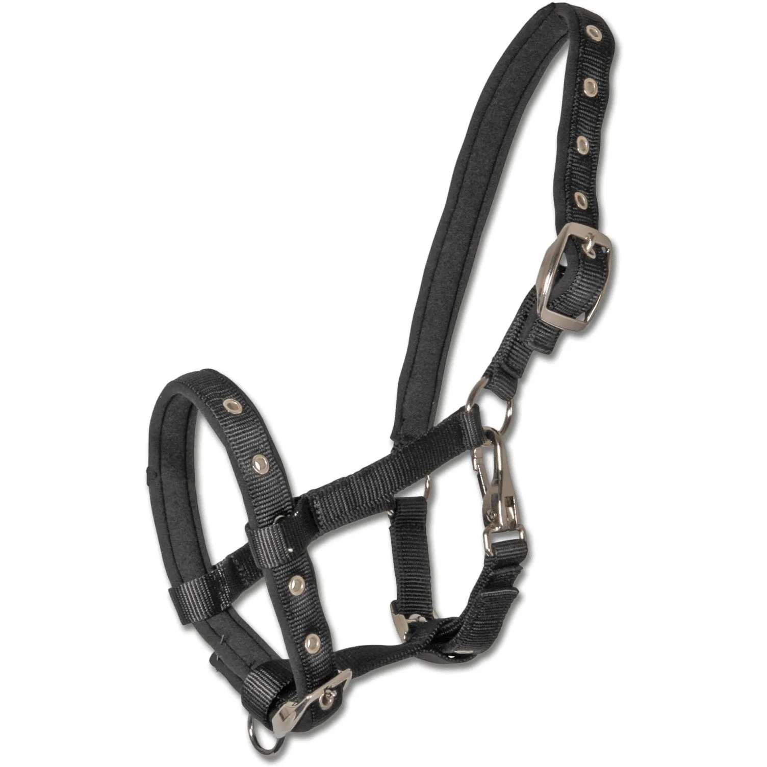 Fohlenhalfter COMFORT schwarz