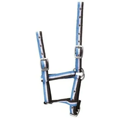 Fohlenhalfter verstellbar schoko/weiß/hellblau