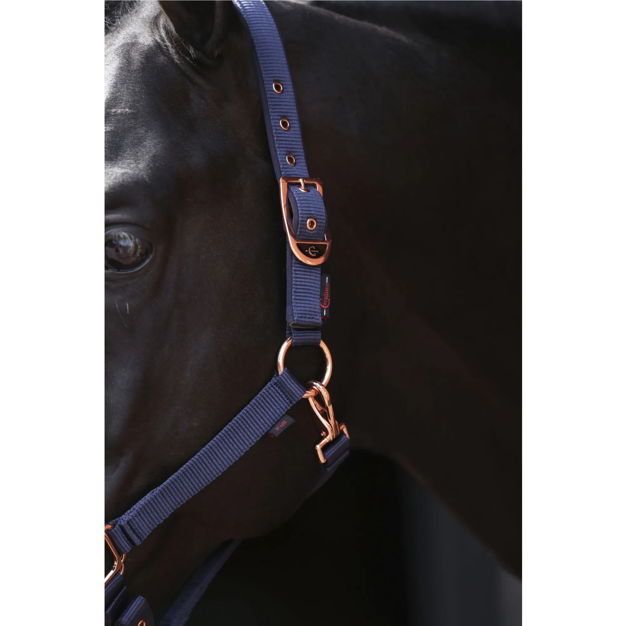 Halfter CLASSY navy