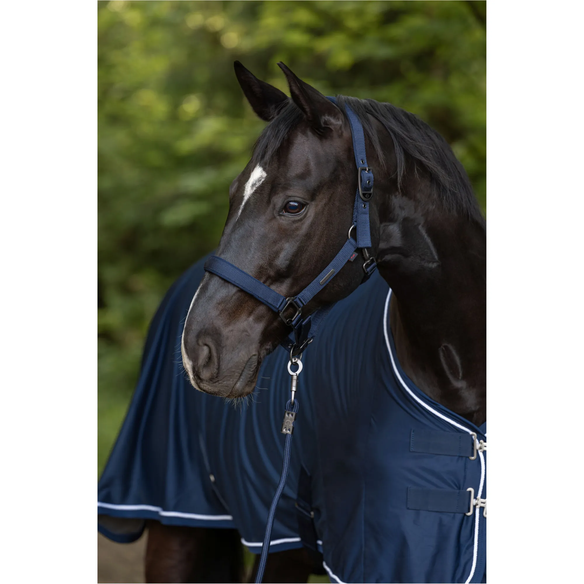 Halfter F/S 2025 dark navy