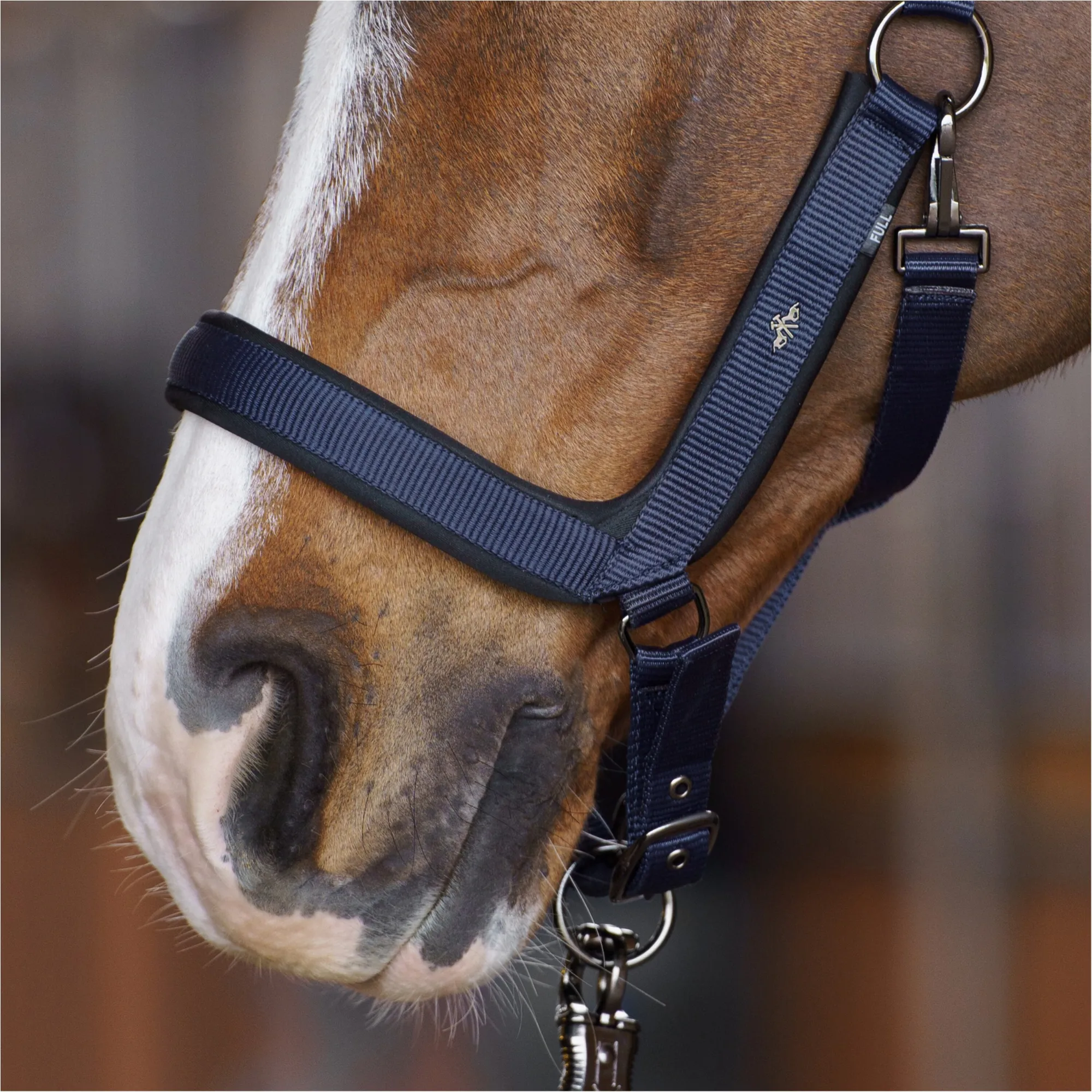 Halfter HVPEssential navy