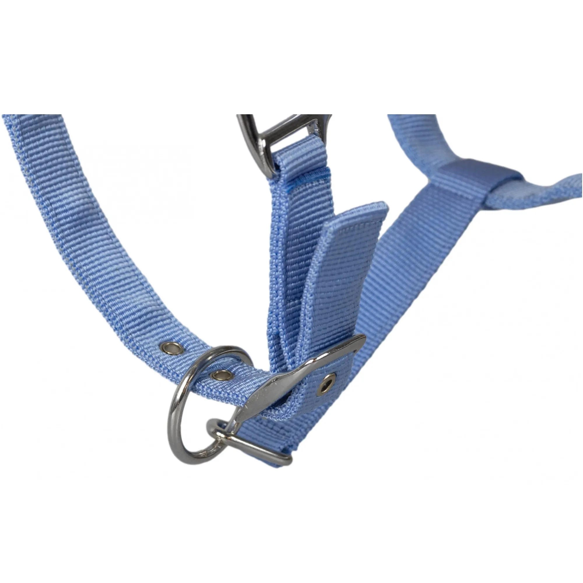 Halfter mit Plüschpolsterung BASICLINE babyblau