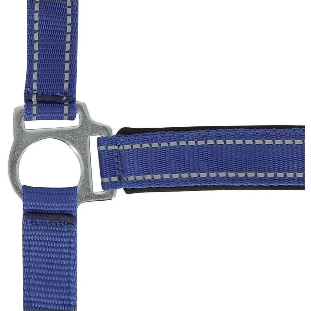 Halfter REFLECTIVE blau