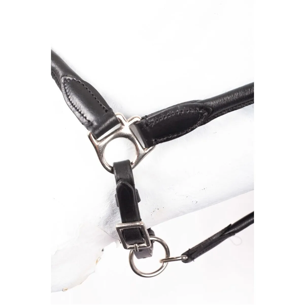 Halfter rundgenäht BASICLINE Leder schwarz