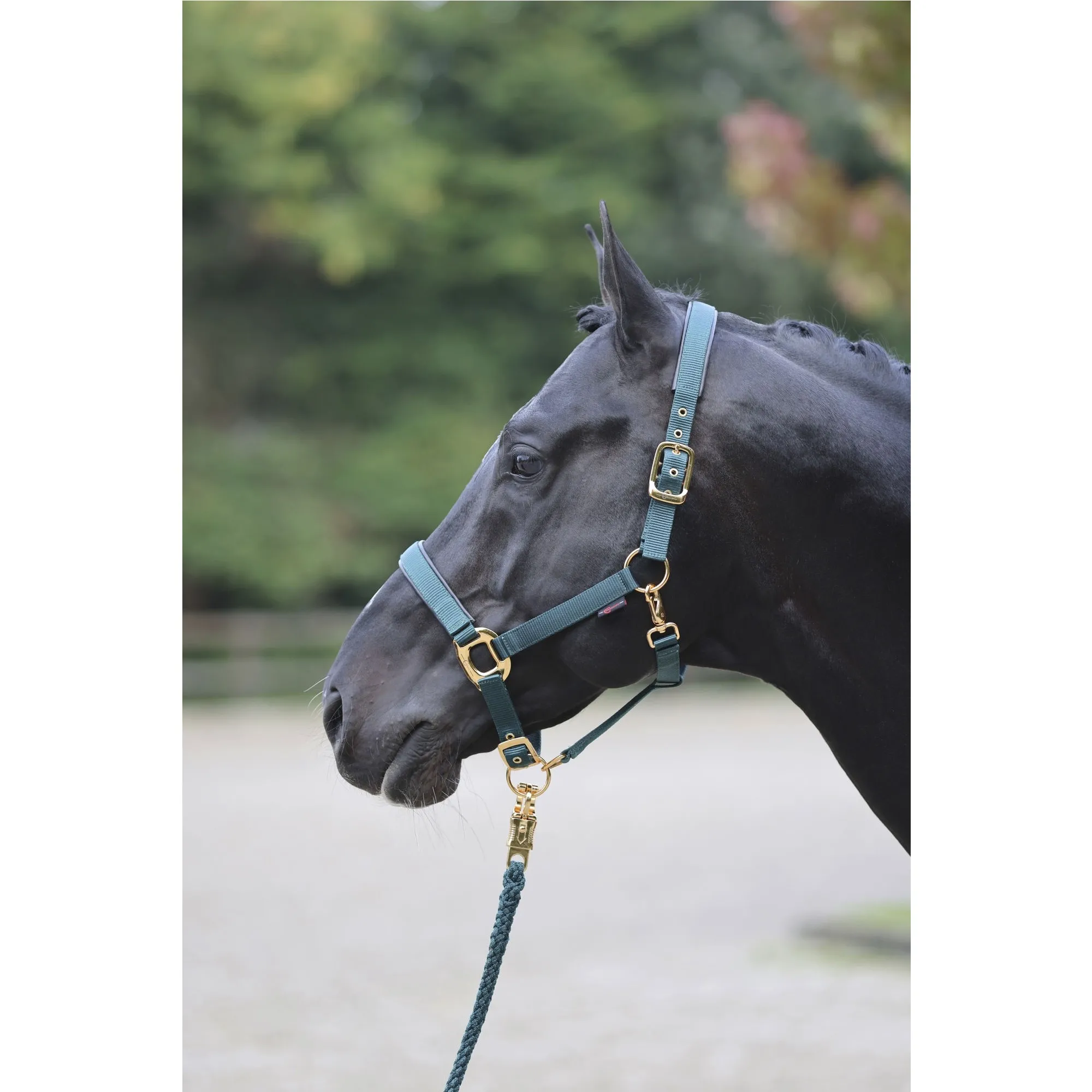 Halfter TOPLINE forest