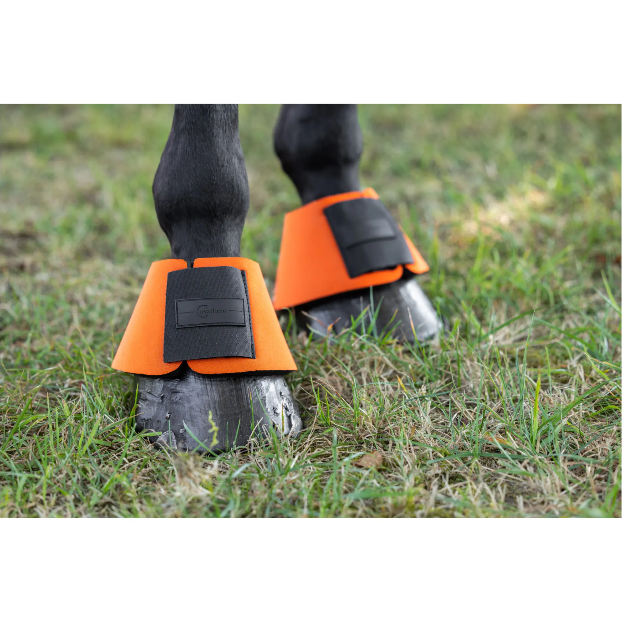 Hufglocken (2er Set) NEOLITE orange