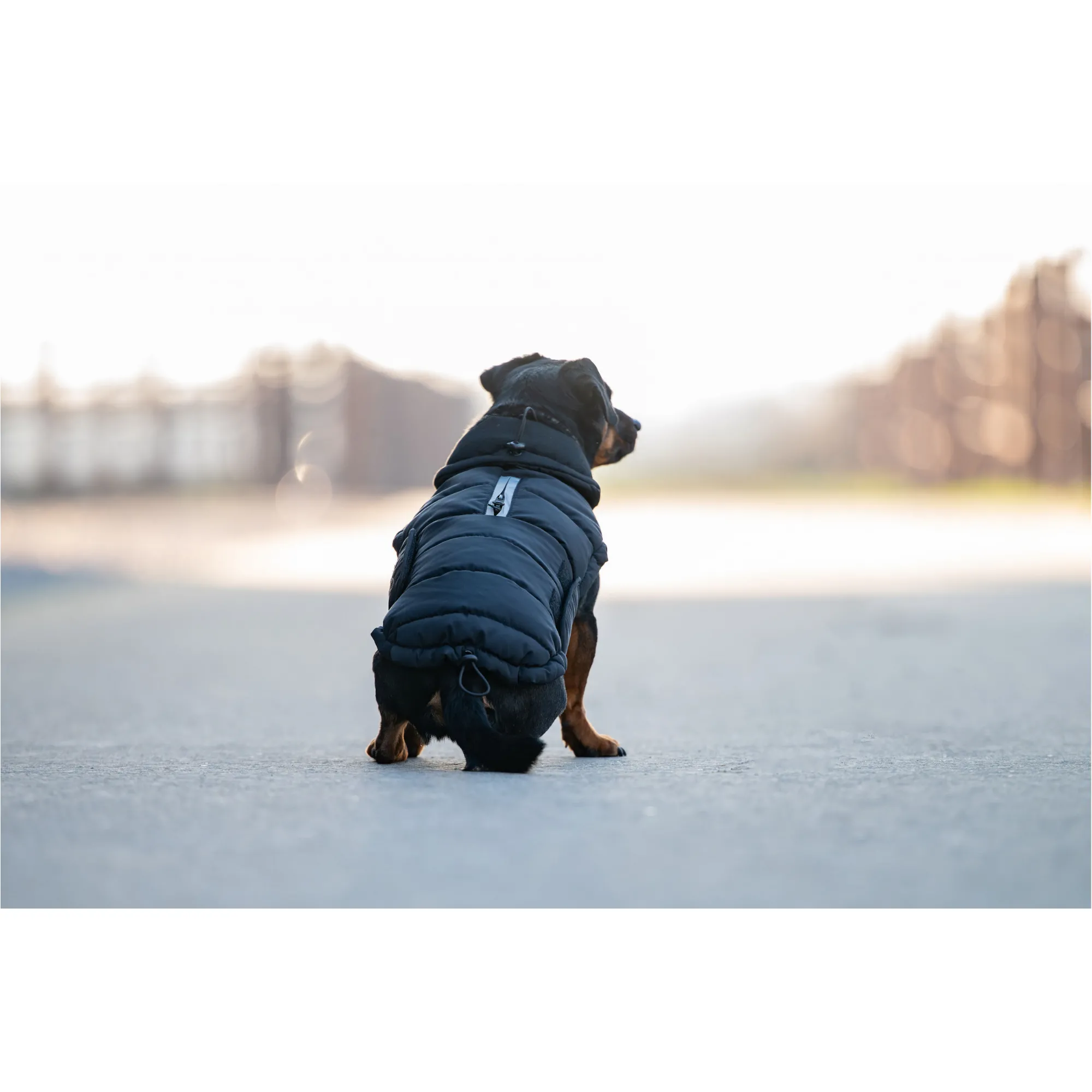 Hundedecke PUFFER FIR-Tech schwarz