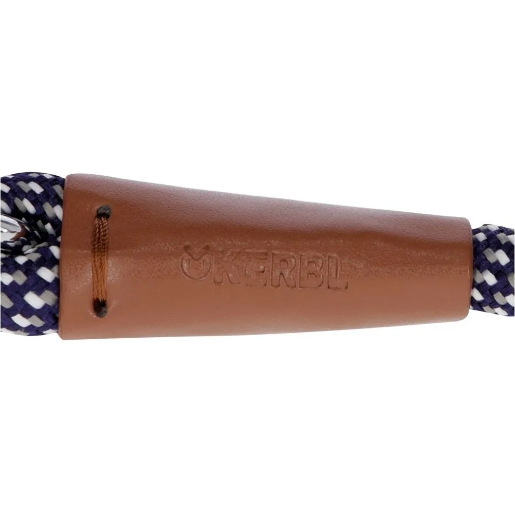 Hundeführleine PHOENIX blau 200cm