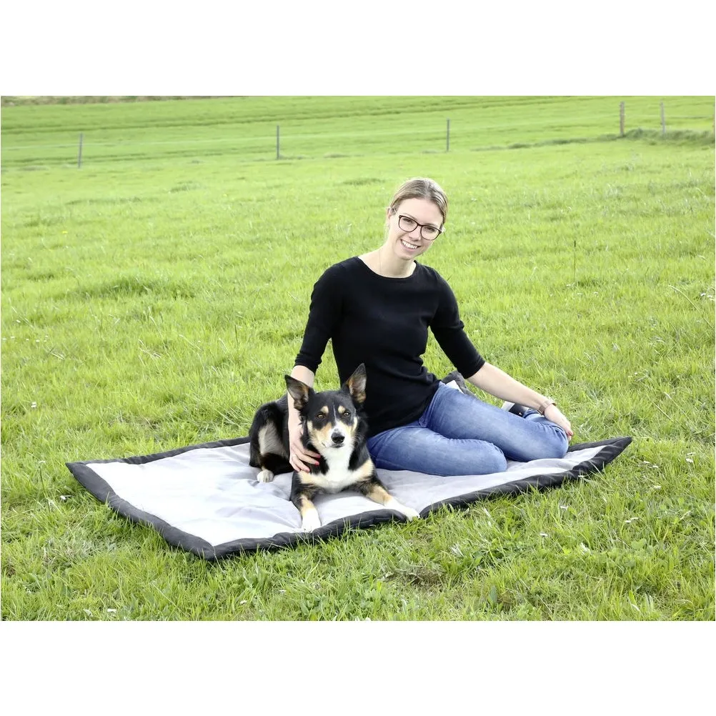 Hundematte TRIP grau/schwarz 140x100x4cm 