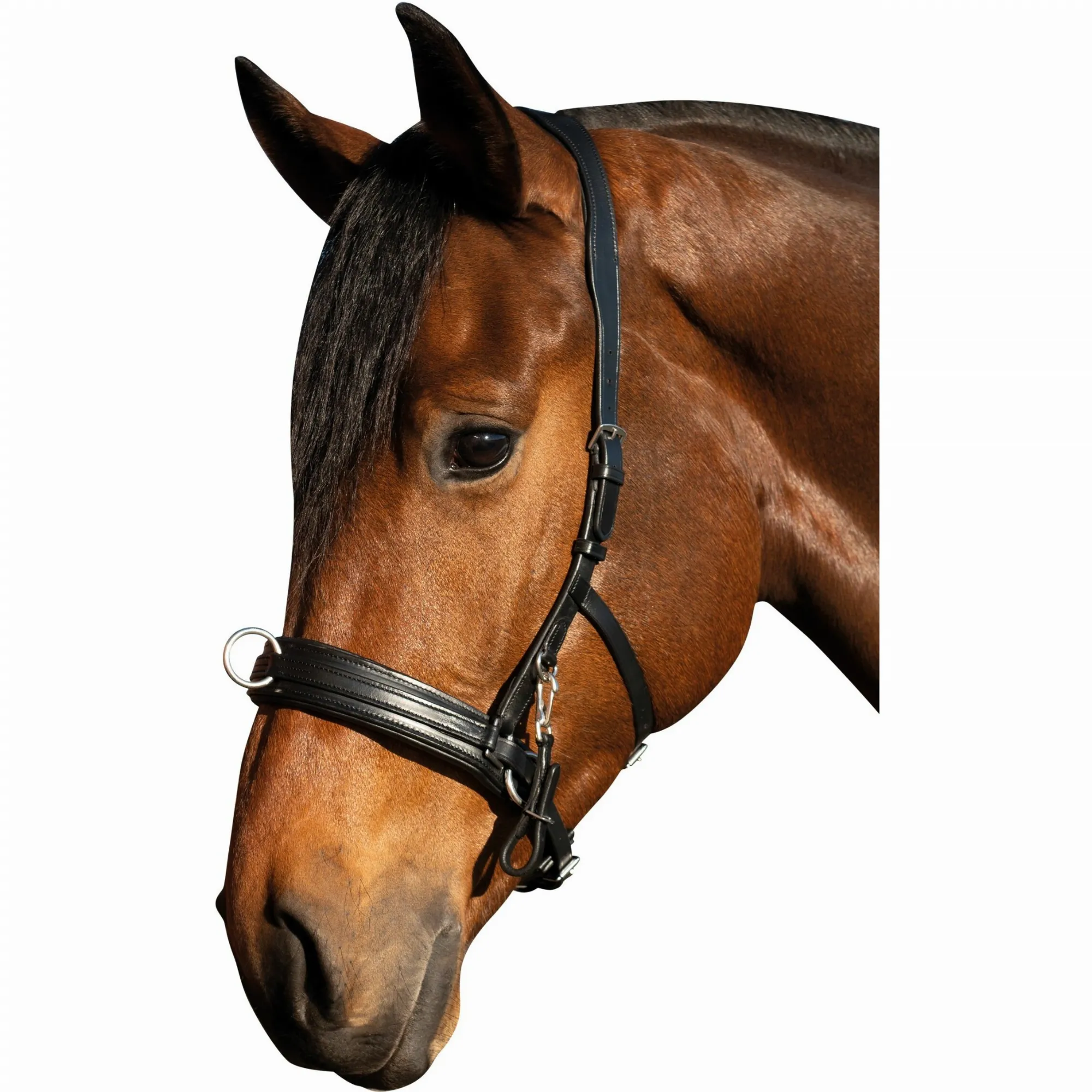 Kappzaum COMFORT schwarz