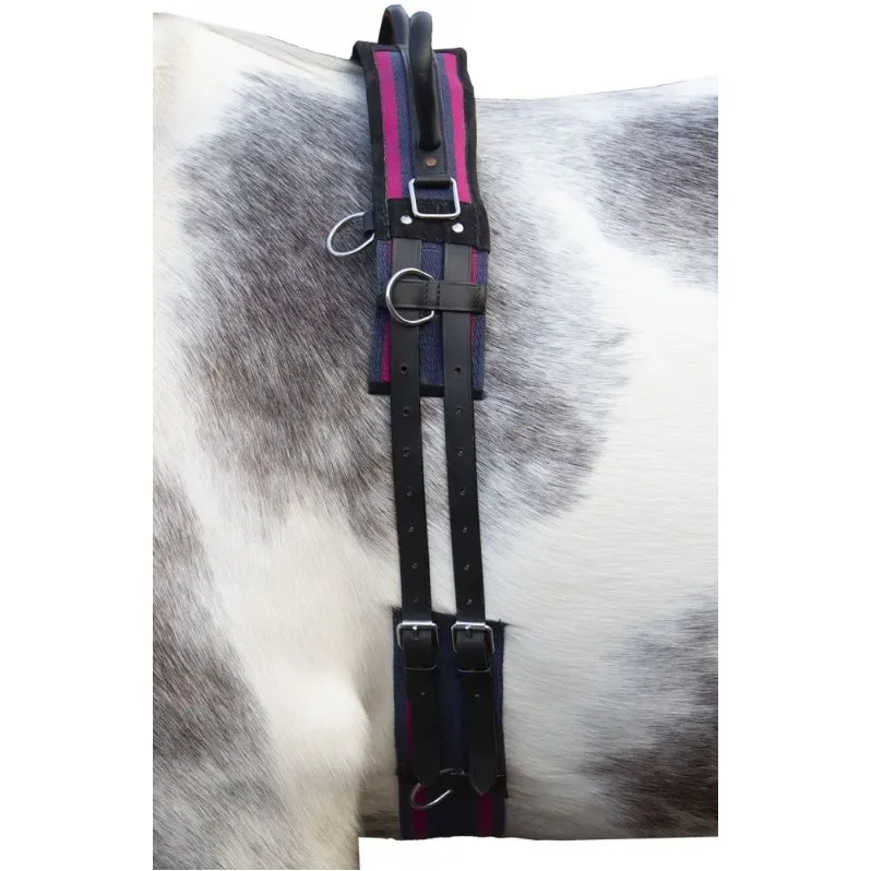 Longiergurt mit Doppelgriff CANVAS navy/passion pink