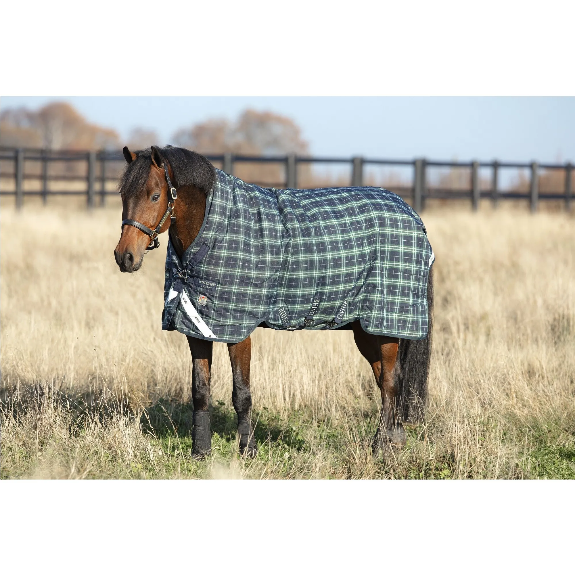 hunter check/navy & green