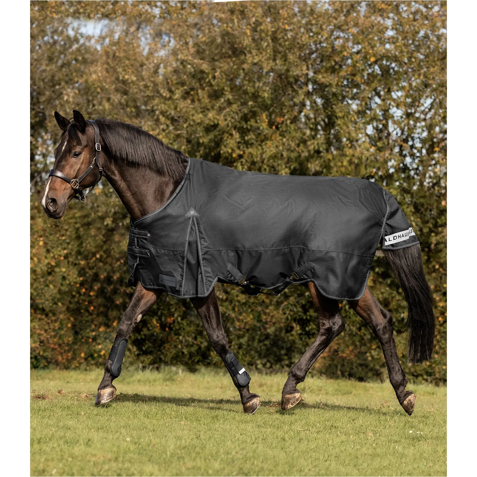 Outdoordecke 100g Füllung 600D ARCTIC schwarz