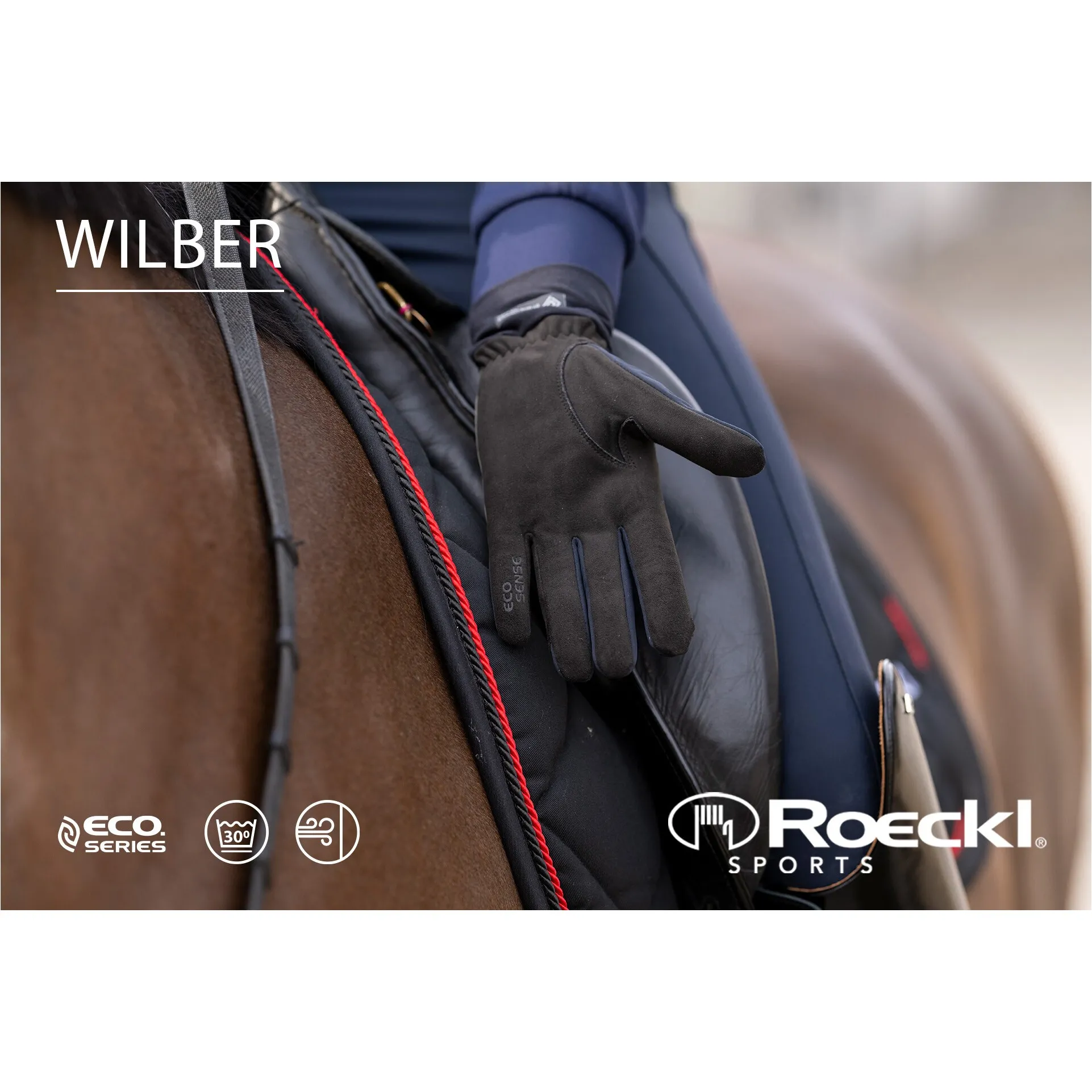 Winter Reithandschuhe WILBER schwarz