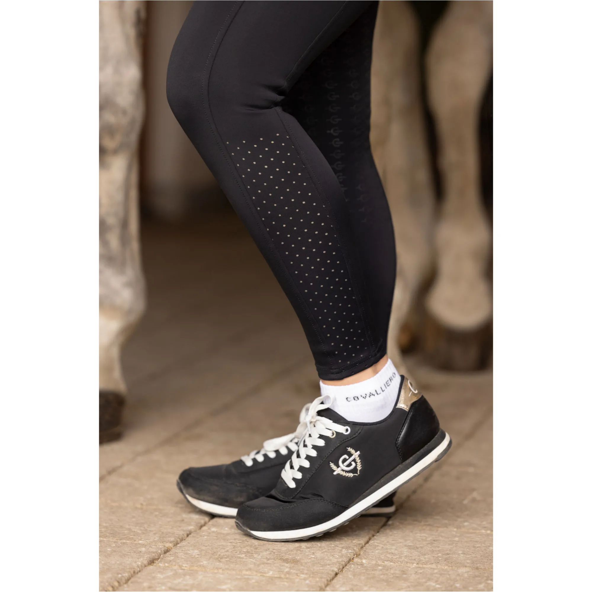Damen Reitleggings Silikon Vollbesatz COMPRESSION F/S 2025 black