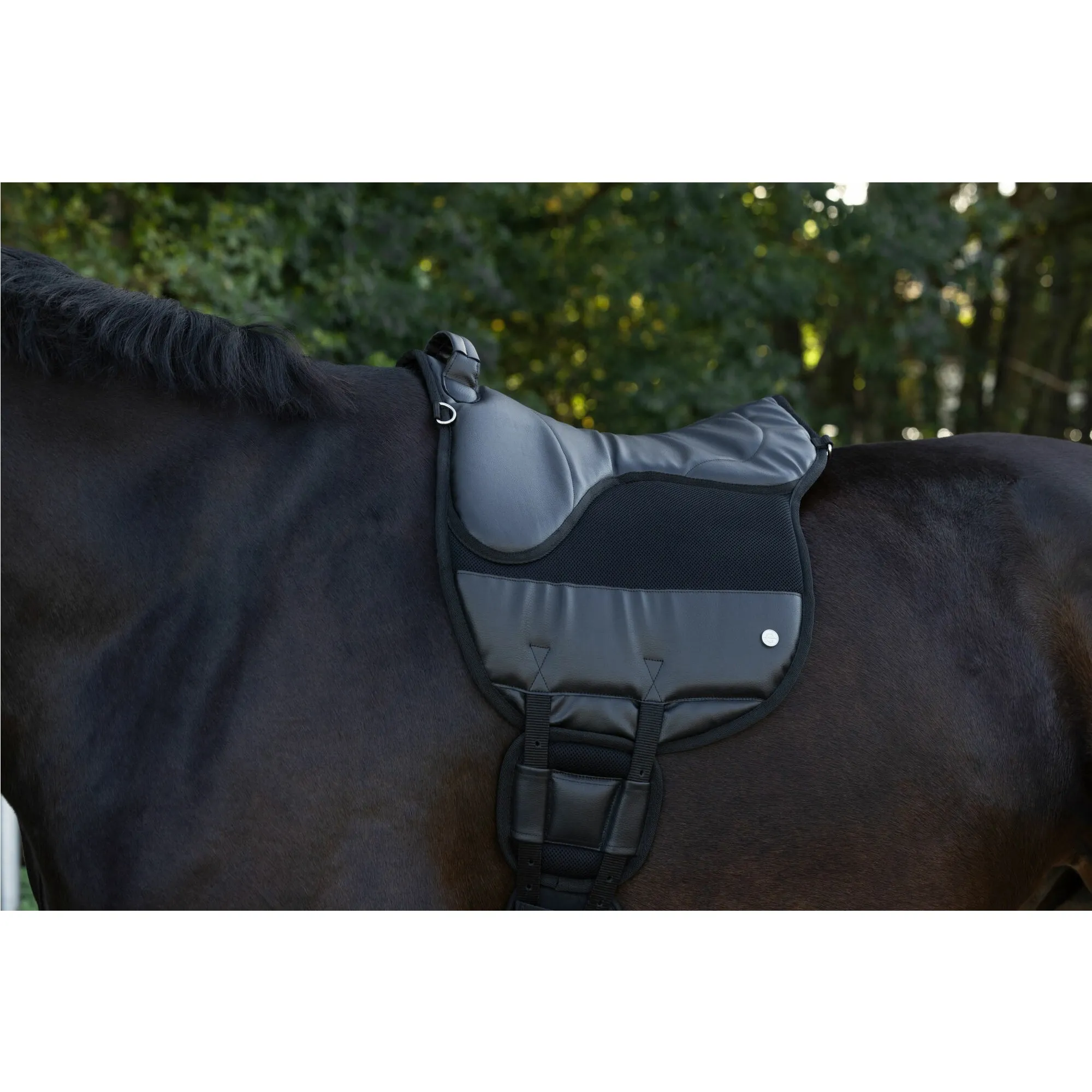 Reitpad AiRide schwarz 50cm