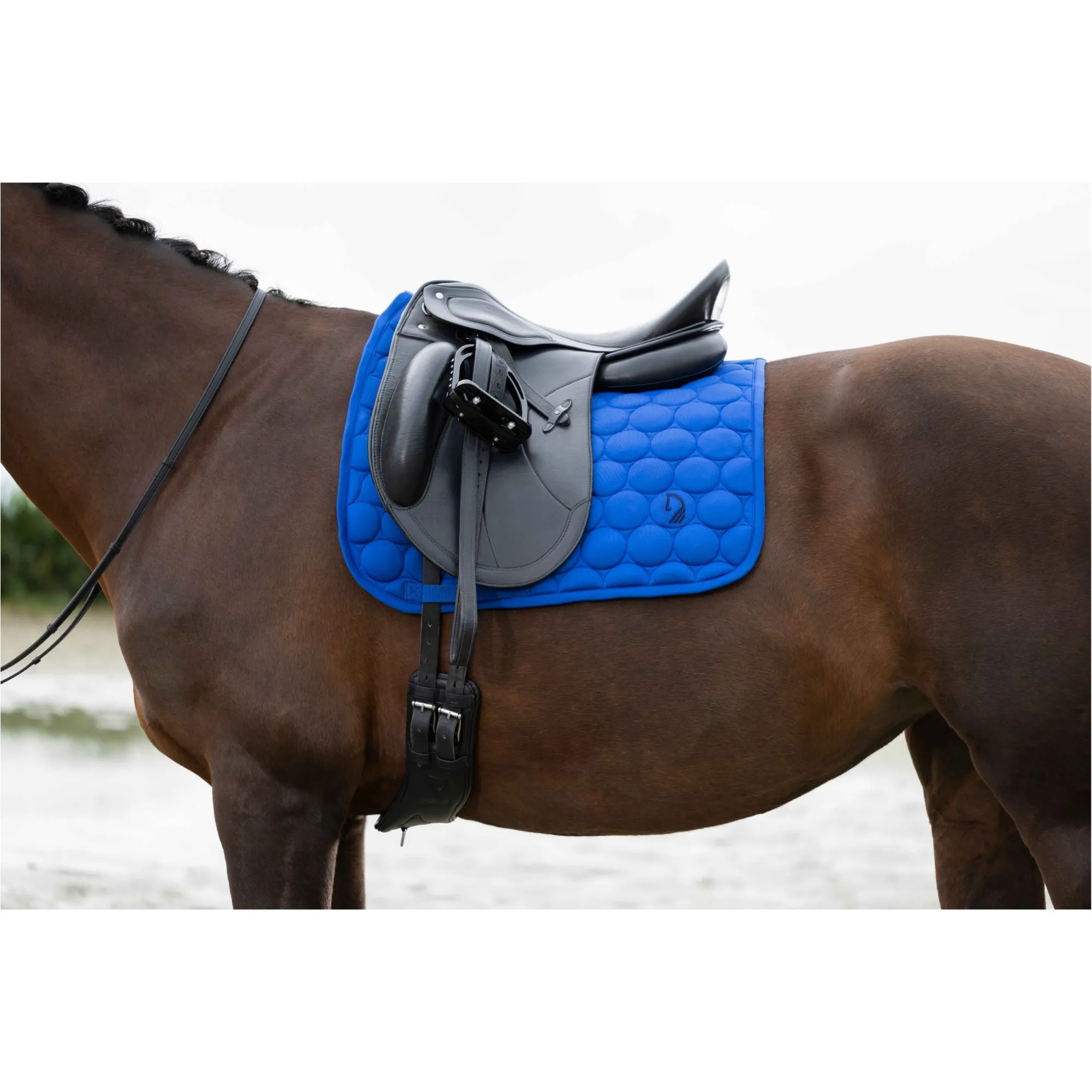 Schabracke AMALFI SPORTIVE blau