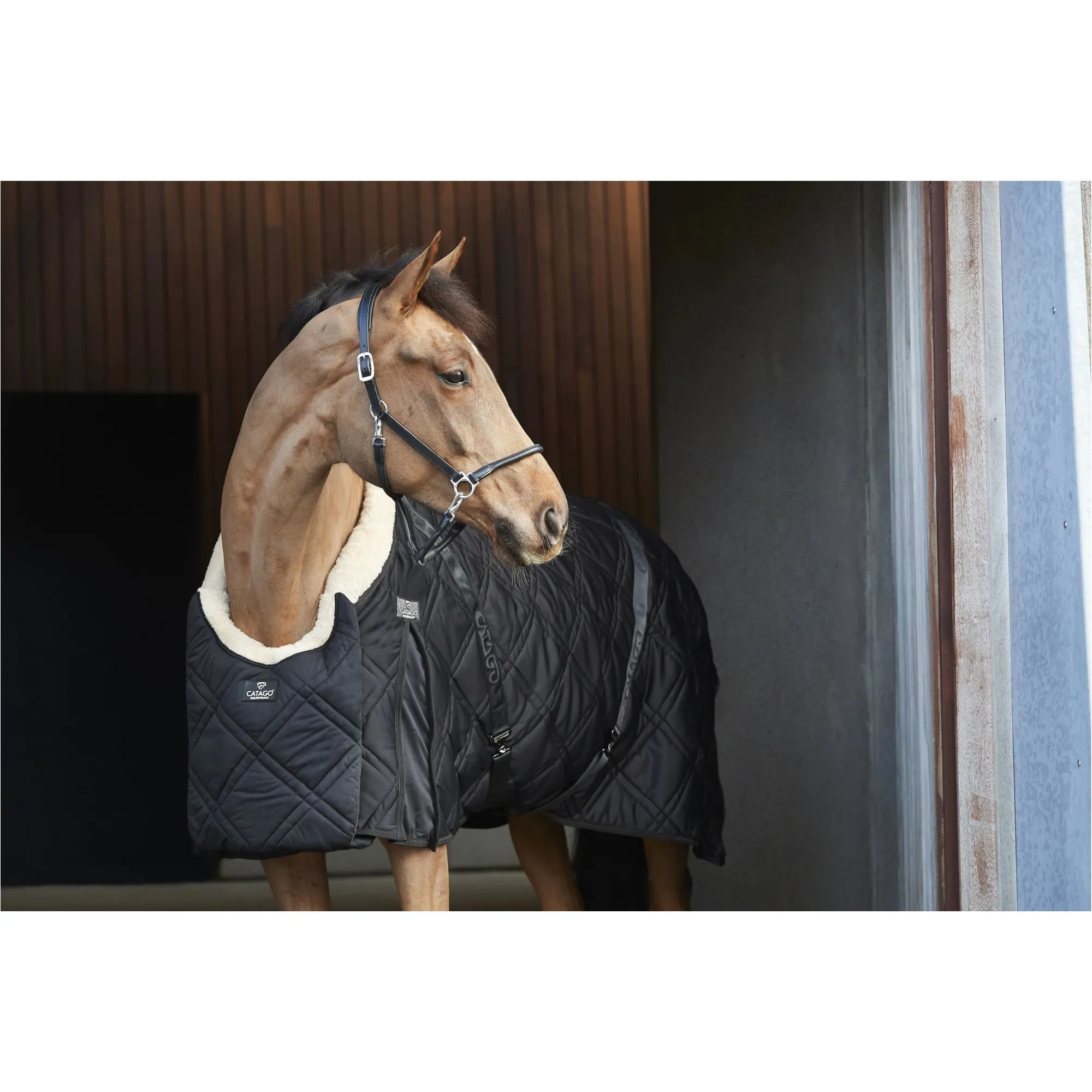 Stalldecke gesteppt 200g Füllung FIR-Tech QUILT schwarz