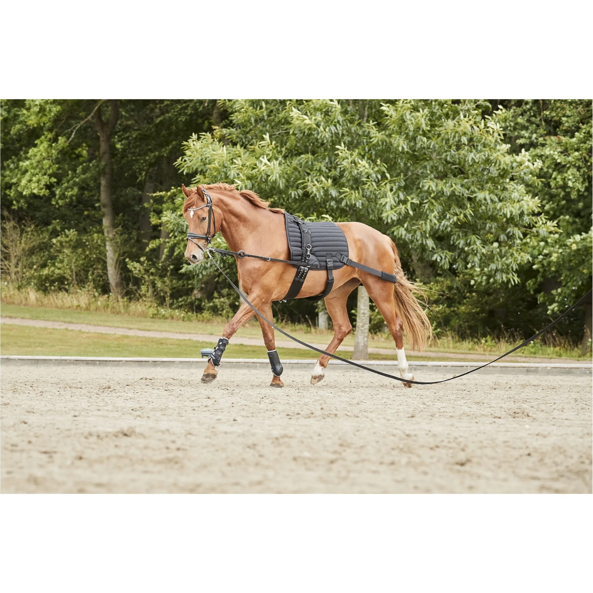 Trainingsschabracke mit Elastik HYBRID schwarz
