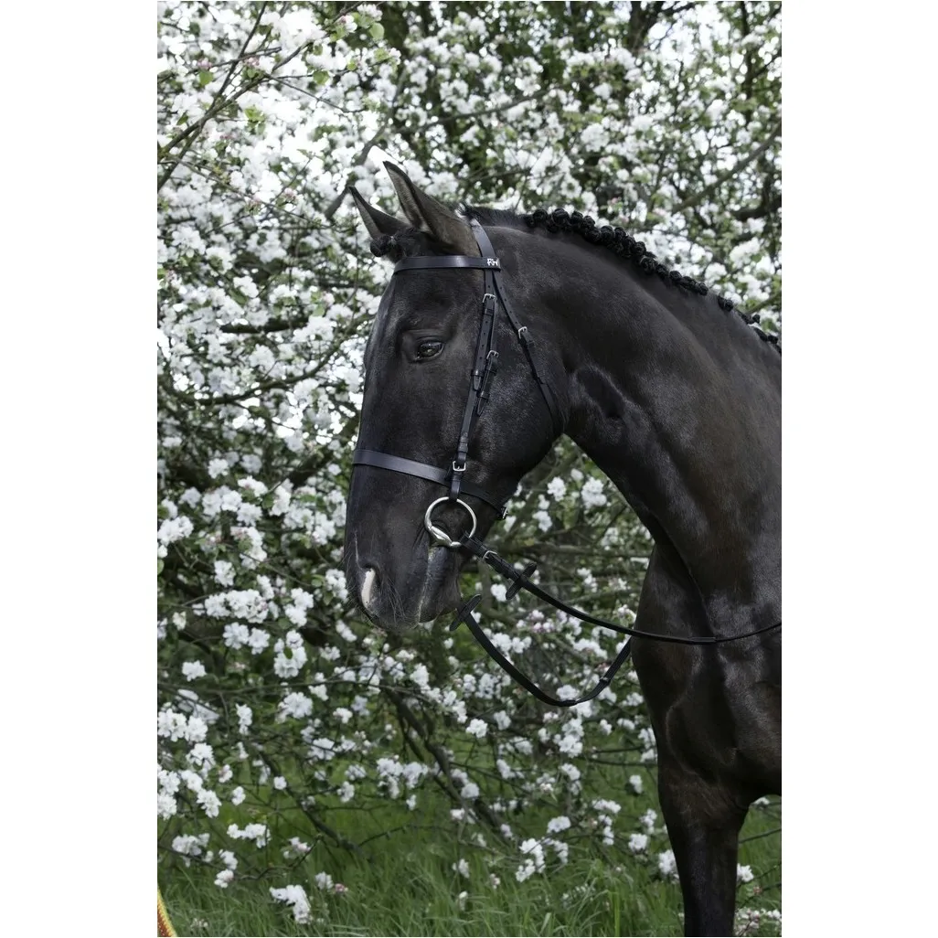 schwarz