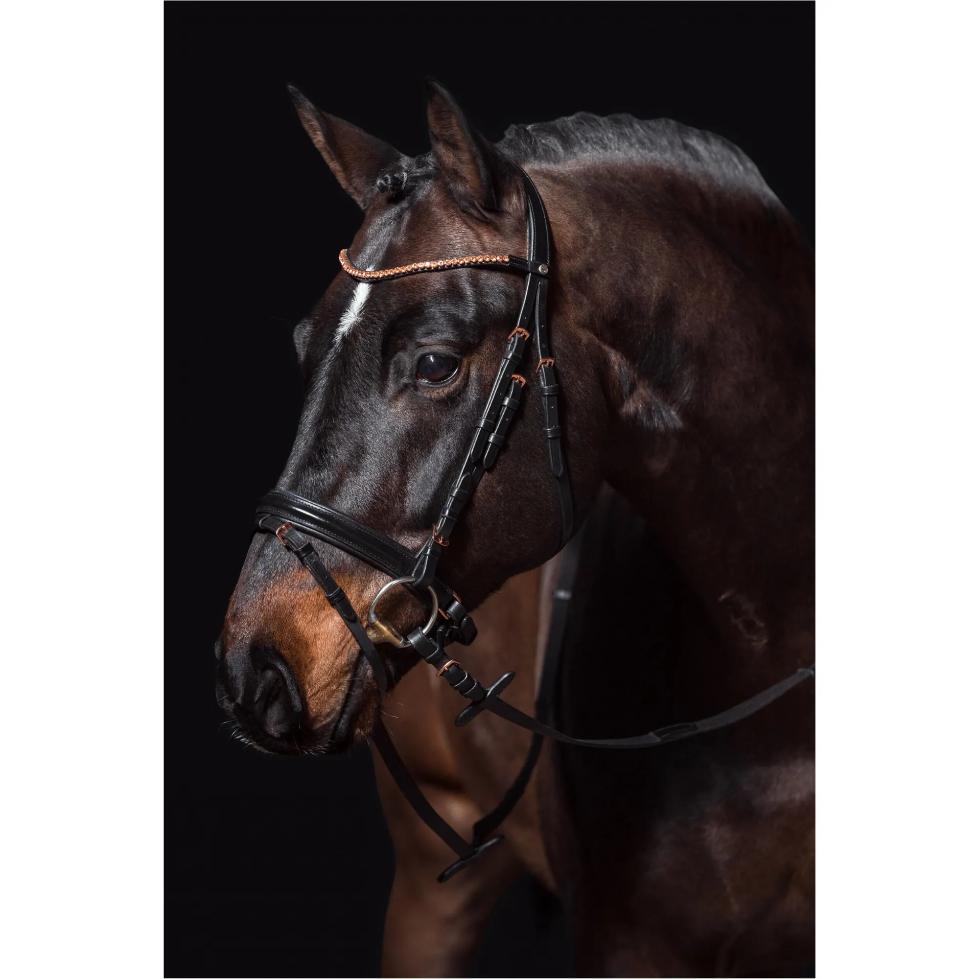 Trensenzaum ROSEGOLD GLAMOUR STYLE schwarz/rosegold