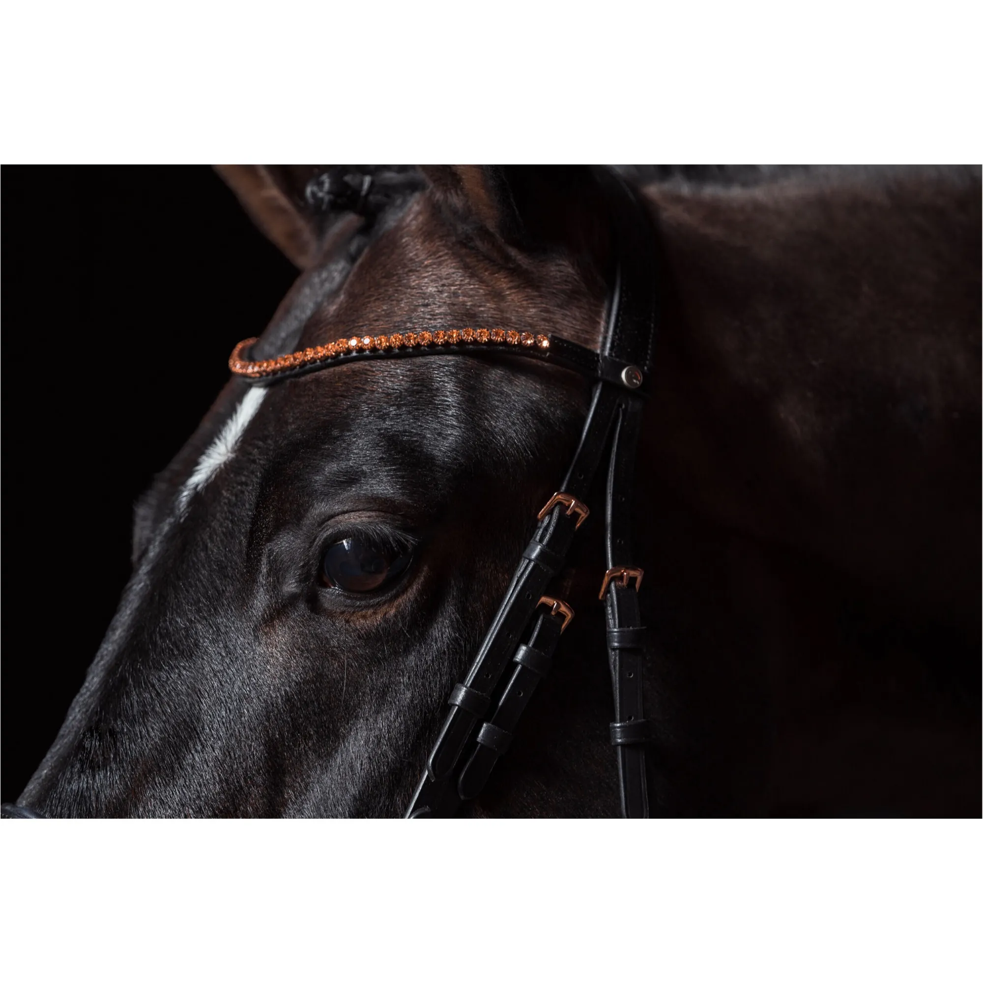 Trensenzaum ROSEGOLD GLAMOUR STYLE schwarz/rosegold